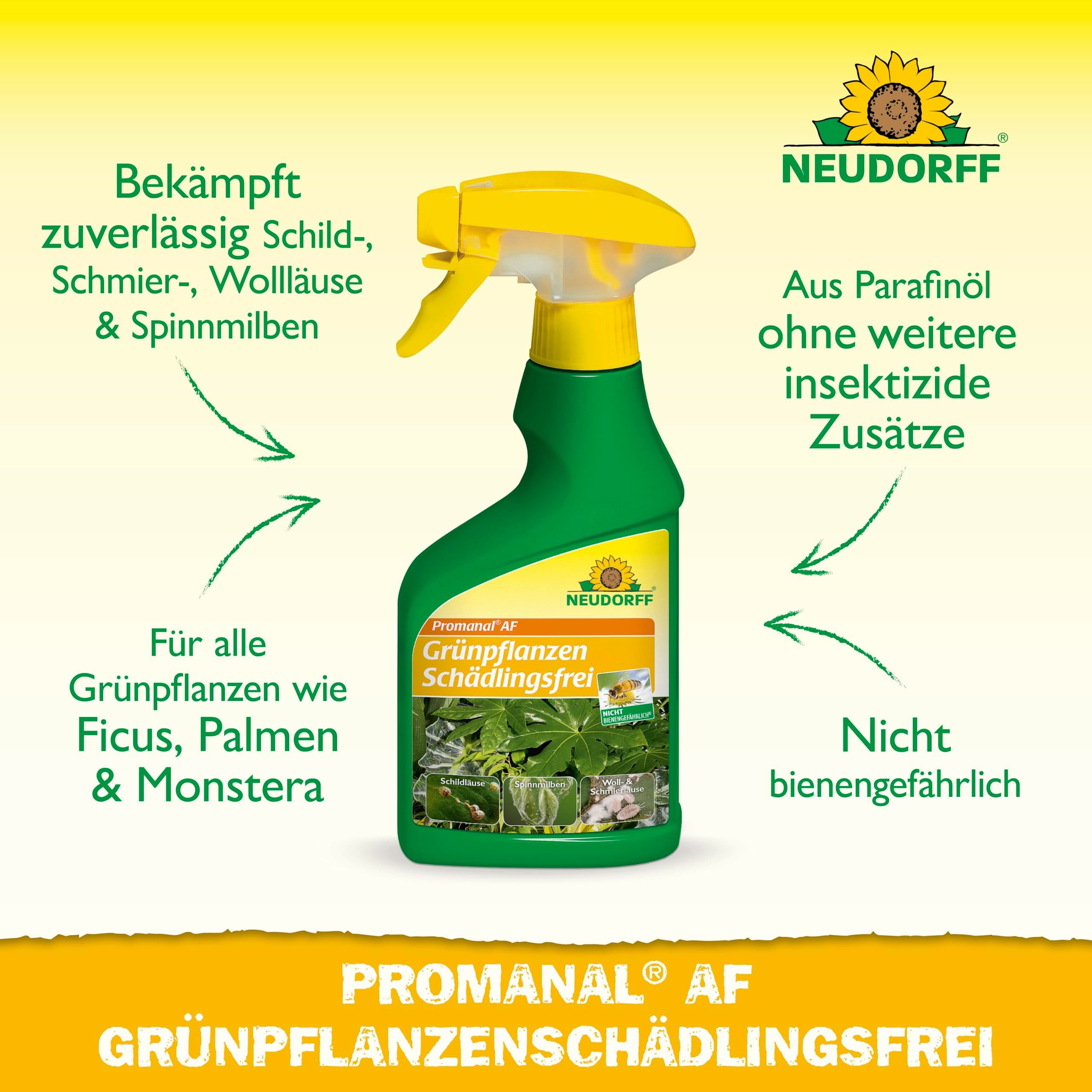 Neudorff Insektenspray Promanal AF GrünpflanzenSchädlingsFrei 250 ml, 0.25 l, Bekämpft Schild- und Wollläuse sowie Spinnmilben, an Grünpflanzen wie z.B. Ficus oder Palmen