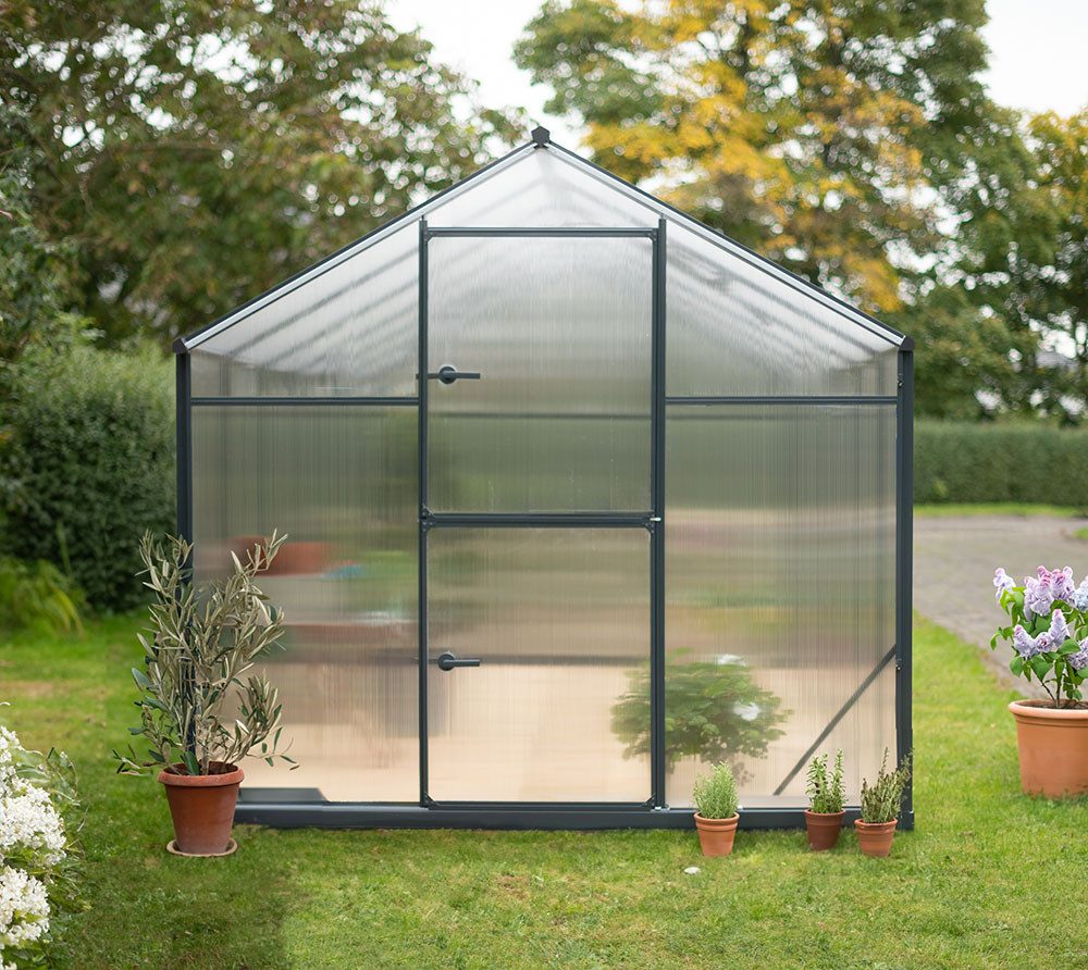 Gampre Gewächshaus Sanus L10, 4mm Sicherheitsglas, 100% UV-beständig, LxBxH 430x220x208 cm