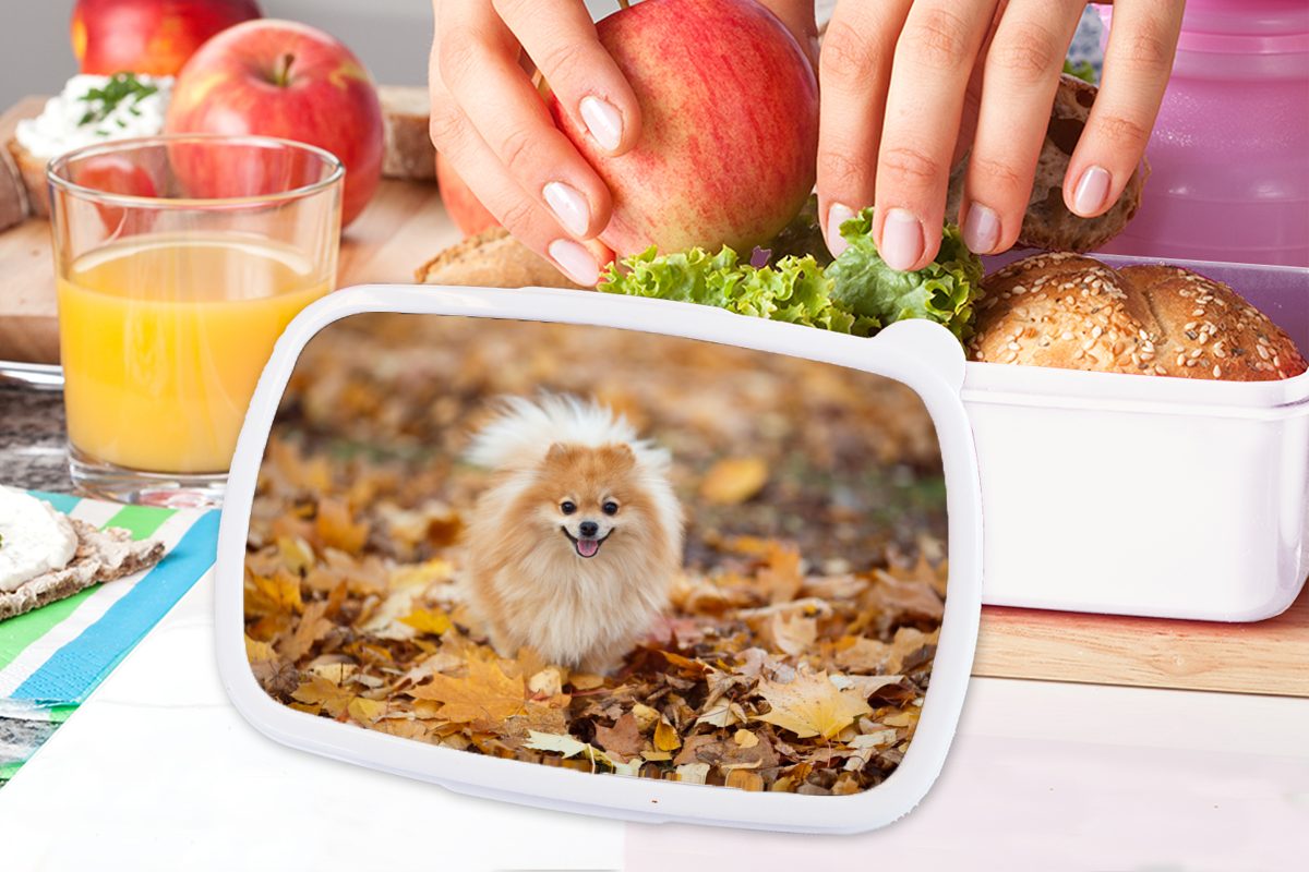 MuchoWow Lunchbox Pomeranian Kinder Erwachsene, und Mädchen Herbst, Kunststoff, und Jungs (2-tlg), für für Brotbox weiß im Brotdose