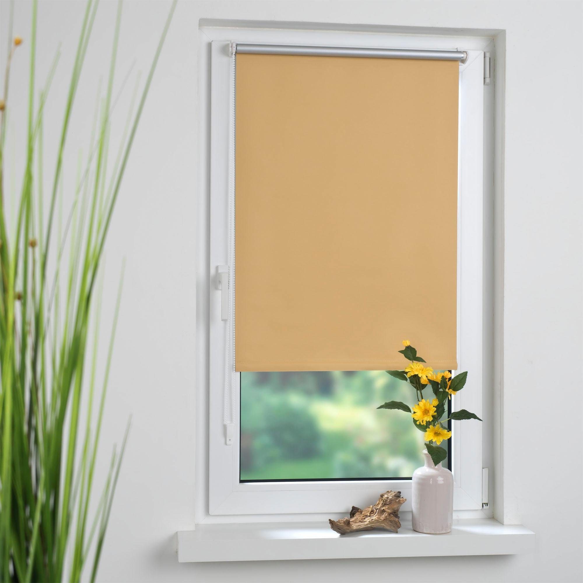 Seitenzugrollo, Liedeco, verdunkelnd, ohne Bohren, Klemmfix günstig online kaufen