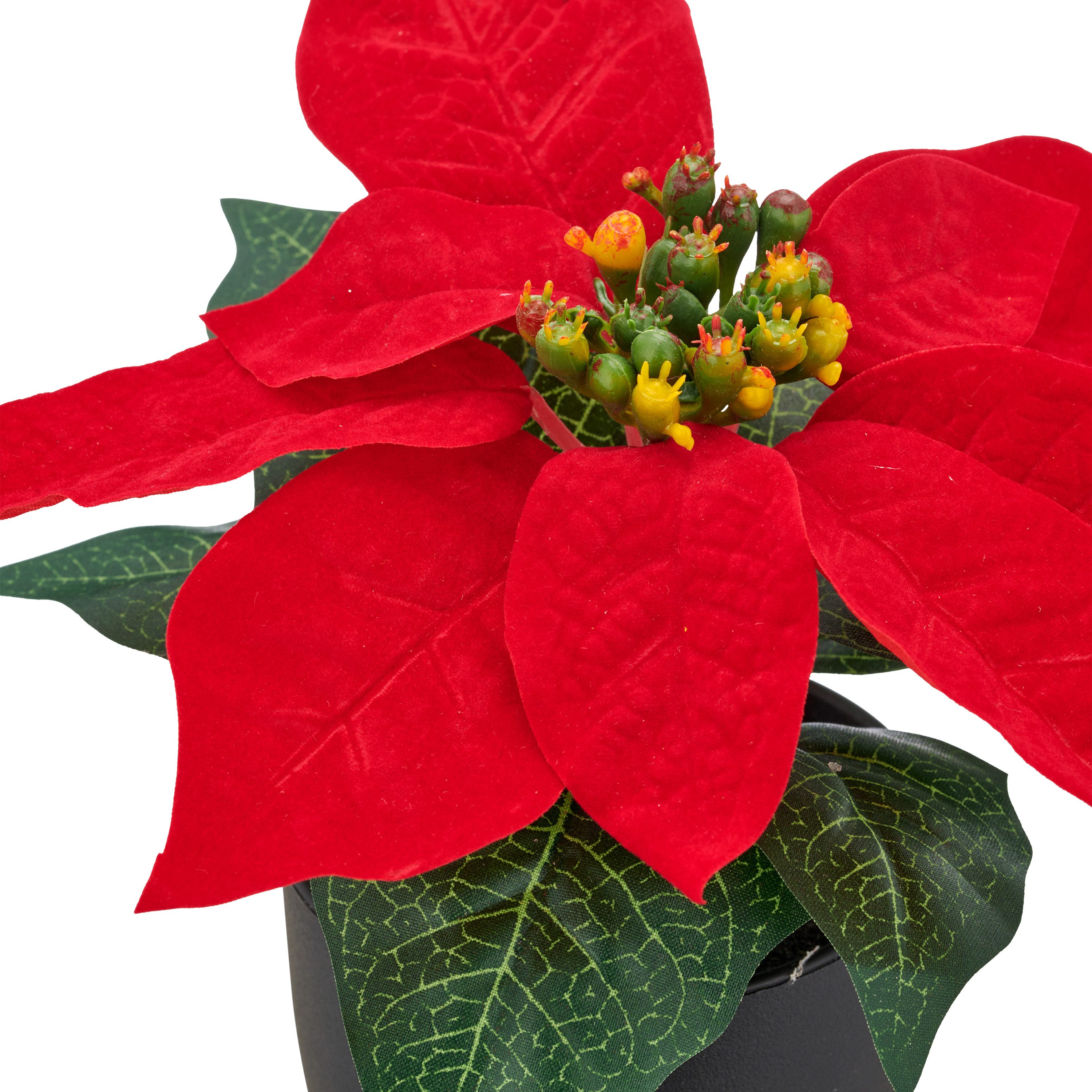 Kunstblume Weihnachtsstern, Creativ green, Höhe 16 cm, mit dauerhafter Blütenpracht