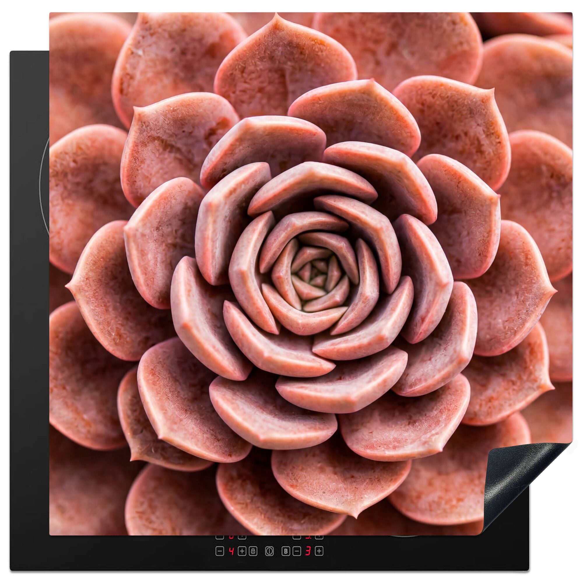 MuchoWow Herd-Abdeckplatte Sukkulente - Bio - Rosa, Vinyl, (1 tlg), Cerankochfeld Abdeckung, Herd Abdeckplatten Vinyl, 58x59 cm