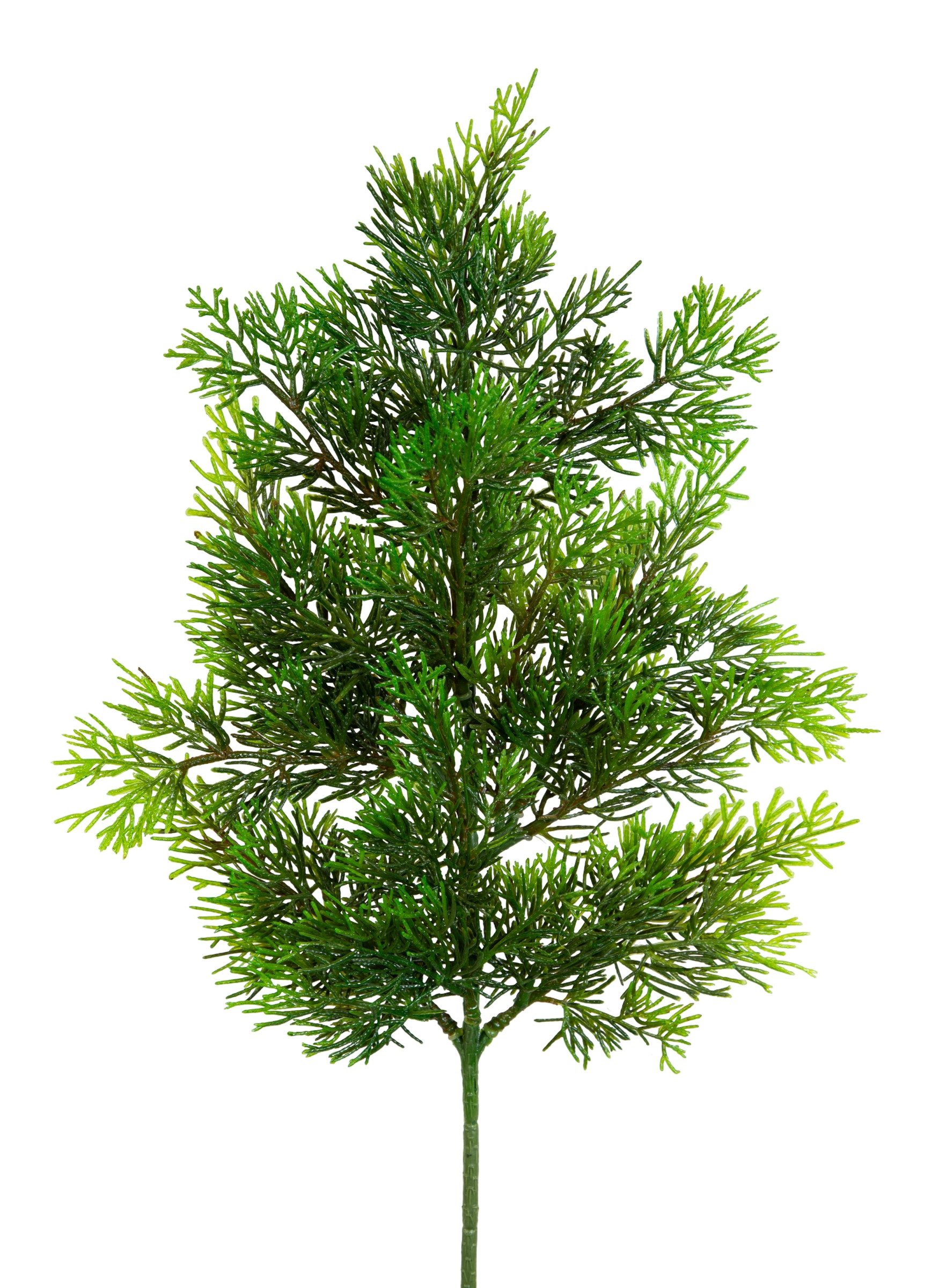 Kunstzweig Zedernzweig Nature ZJ Kunststoff 100% PE Spritzguss künstliche Z günstig online kaufen