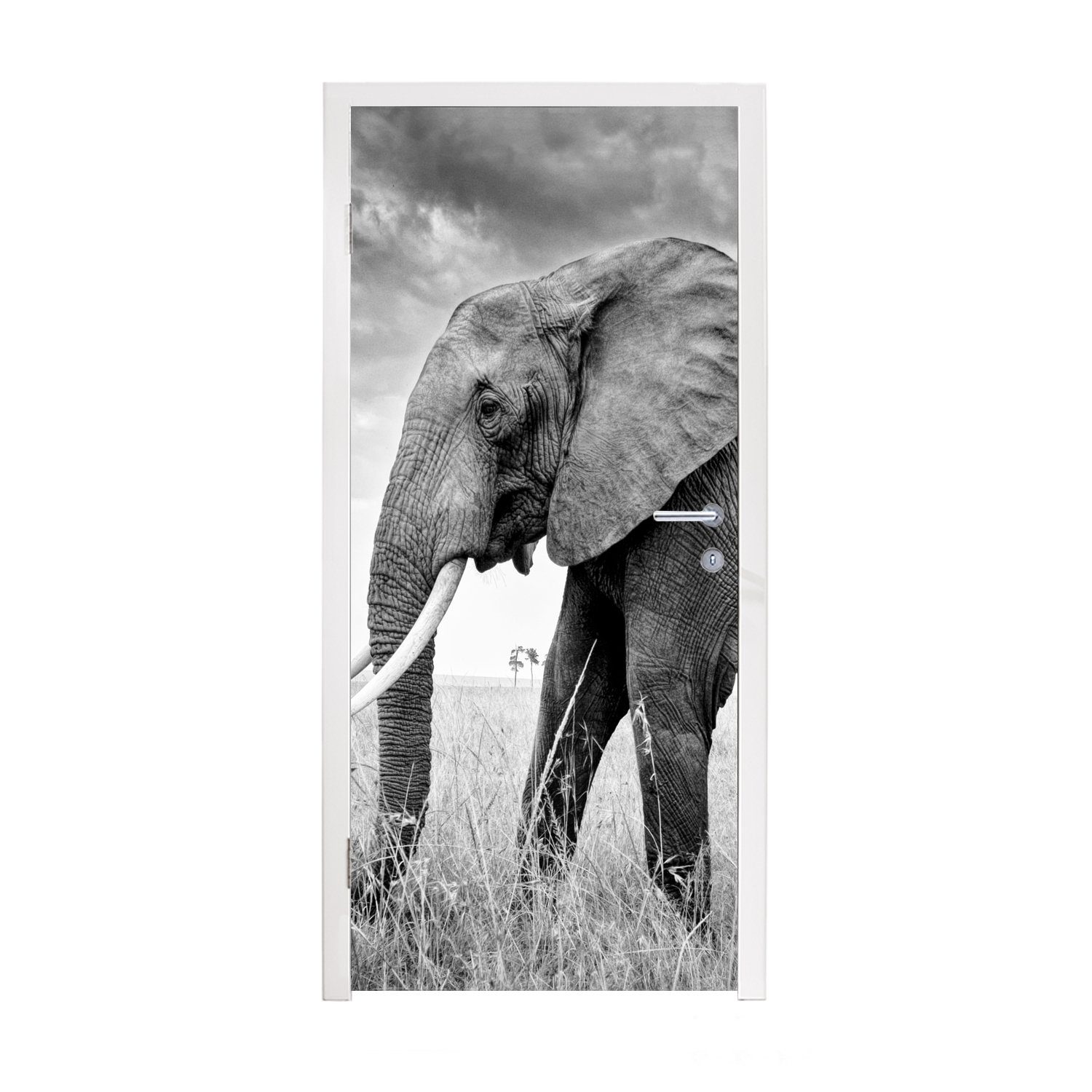 MuchoWow Türtapete Elefant - Gras - Tiere - Schwarz und weiß, Matt, bedruckt, (1 St), Fototapete für Tür, Türaufkleber, 75x205 cm