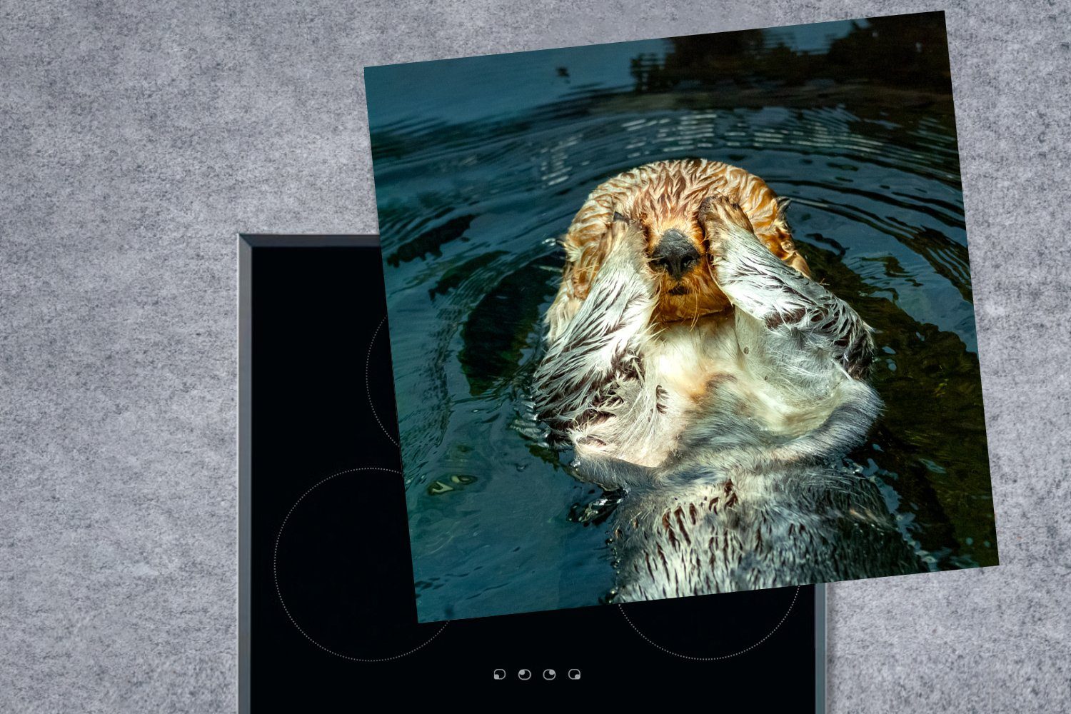 MuchoWow Herdblende-/Abdeckplatte Otter im (1 Ceranfeldabdeckung, Vinyl, cm, Wasser, 78x78 Arbeitsplatte tlg), für küche