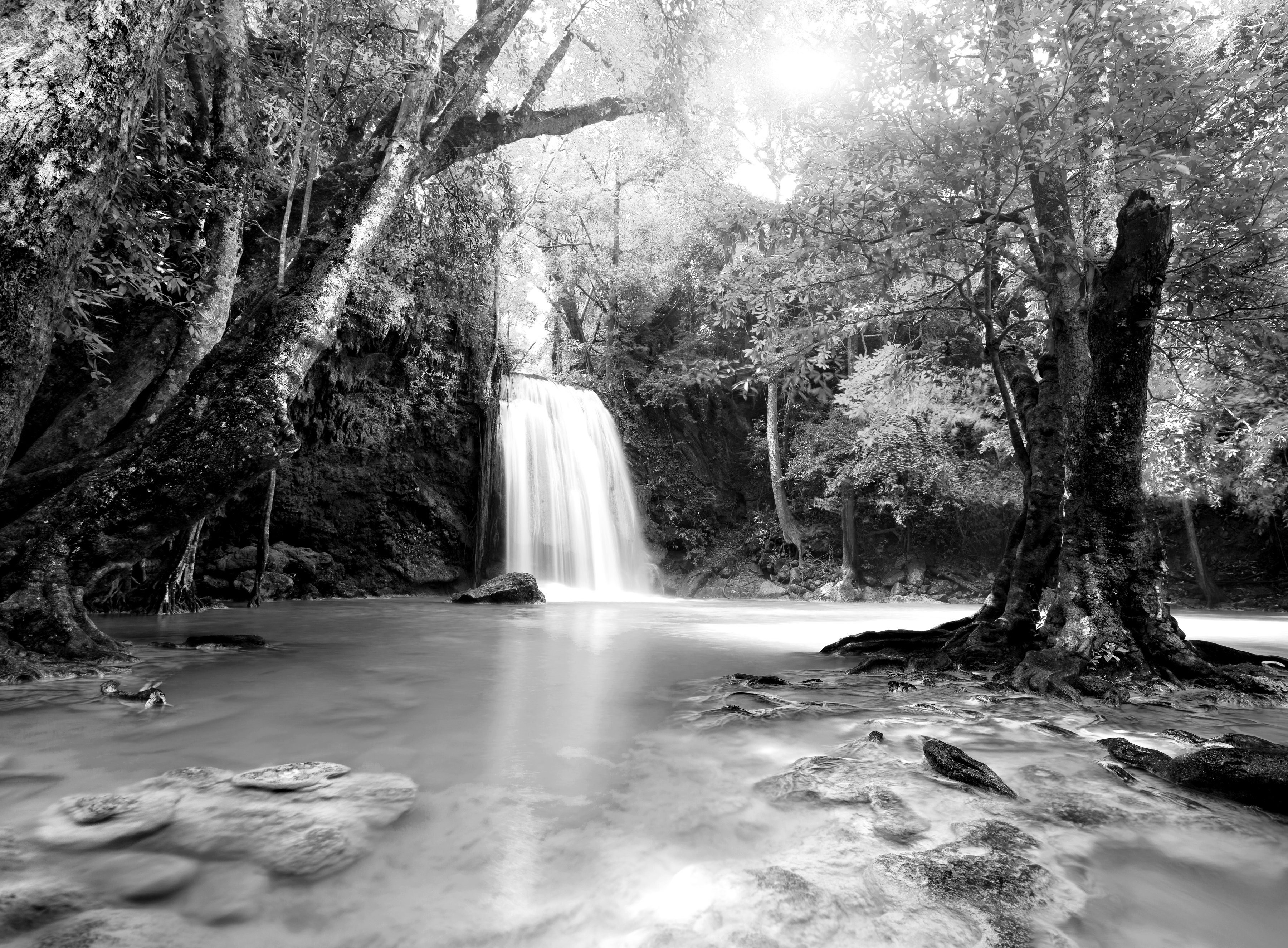 Papermoon Fototapete Wasserfall im Wald Schwarz & Weiß