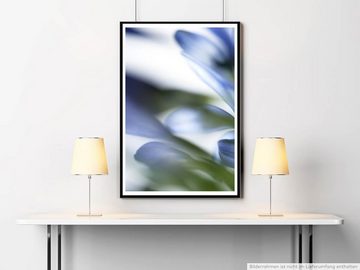 Sinus Art Poster Naturfotografie 60x90cm Poster Blaue Blütenblätter