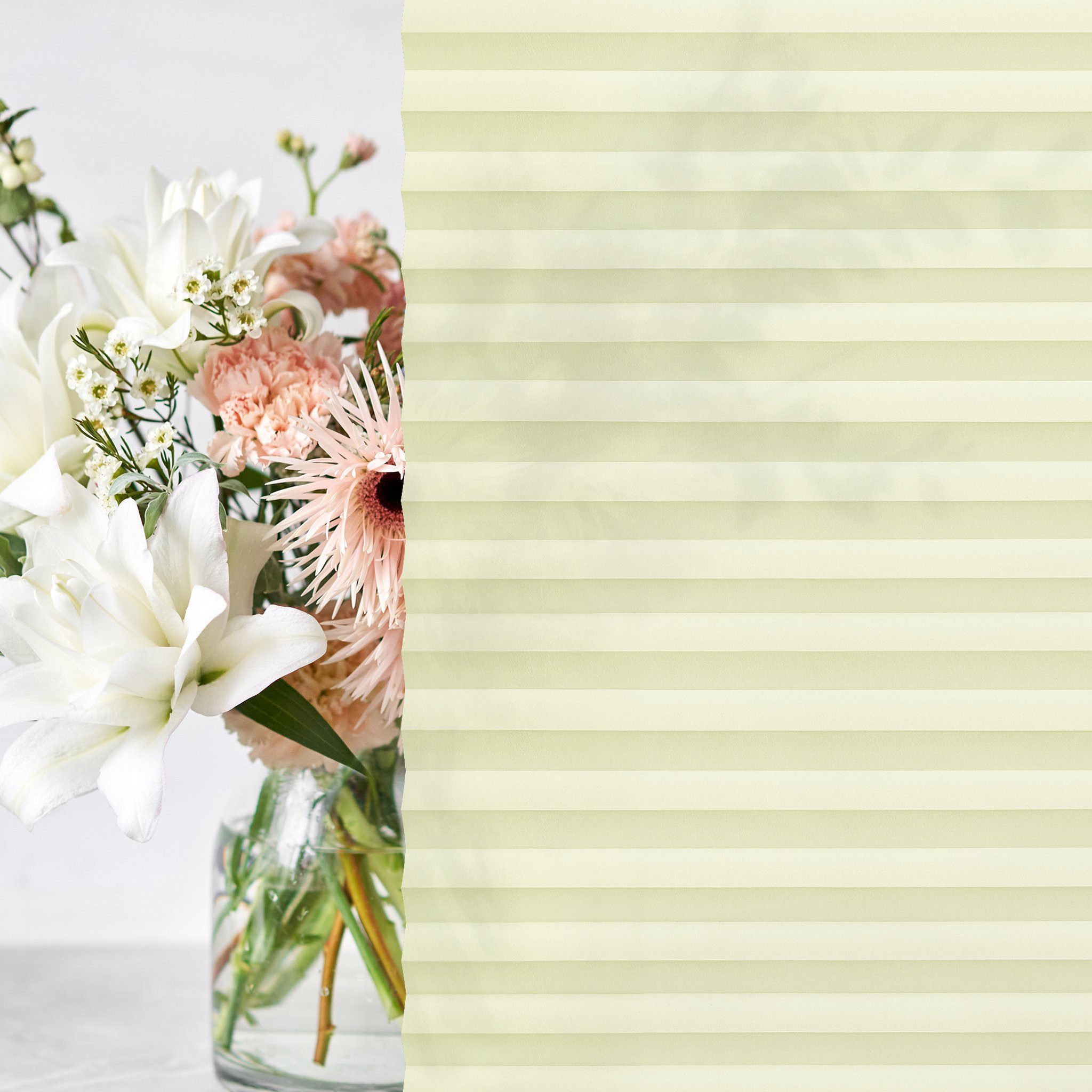 jalousiescout Plissee Pure Plissee Premium, 30 x 100 cm, creme, halbtranspa günstig online kaufen