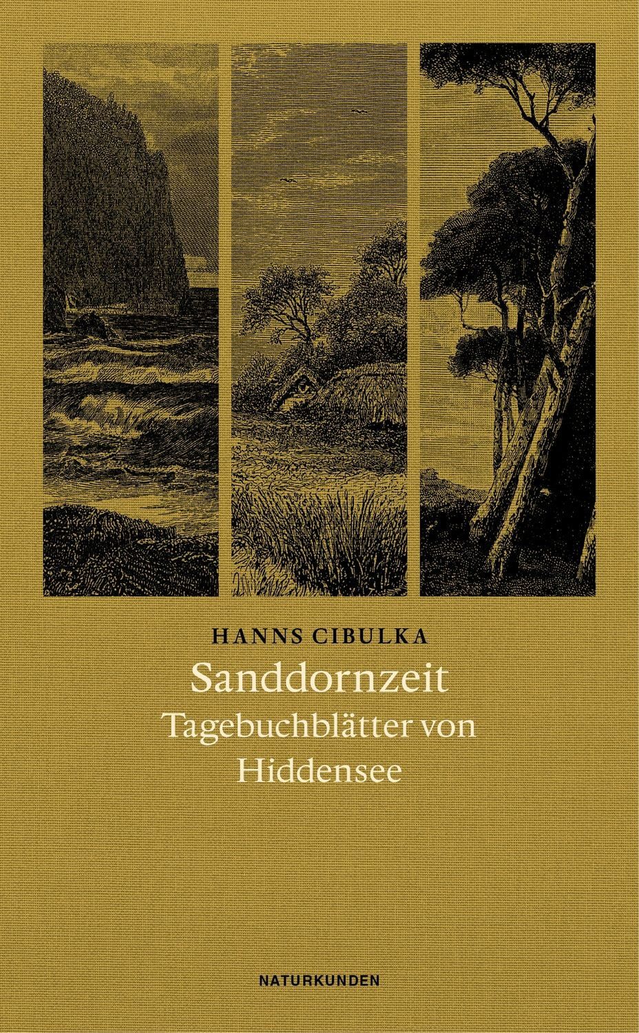 Sanddornzeit / Hanns Cibulka