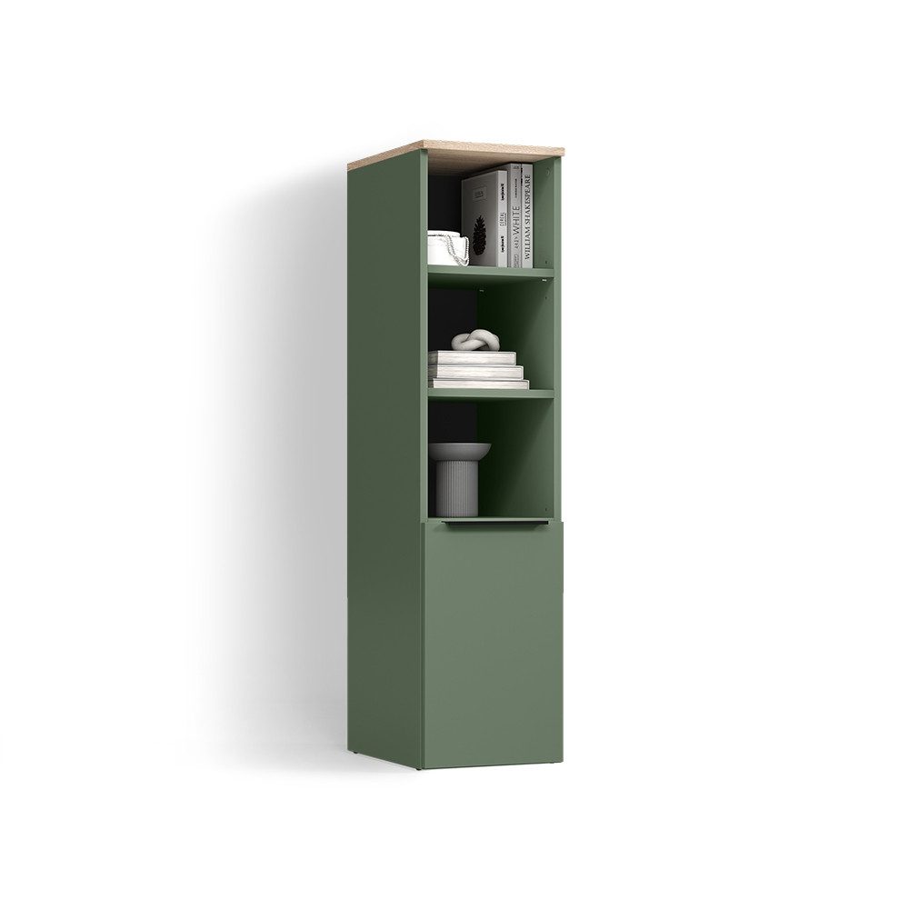 Livinity® Aktenschrank Piave, Grün, mit einer Tür (1-St)