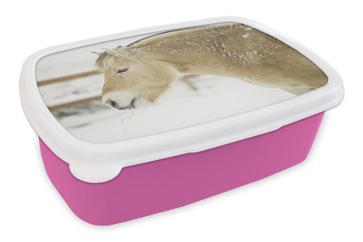 rosa Kunststoff, Brotdose Snackbox, Lunchbox (2-tlg), eines Fjordpferdes Nahaufnahme MuchoWow im Kinder, Kunststoff Erwachsene, Mädchen, Brotbox für Schnee,