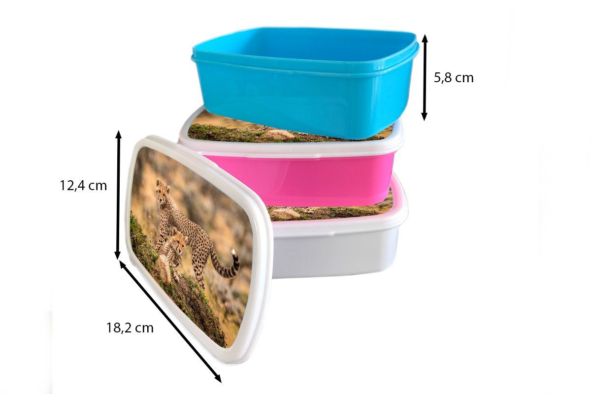 MuchoWow Lunchbox Leopard - Jungtier Brotbox Mädchen Brotdose, für (2-tlg), Kunststoff, Natur, für Kinder und Jungs weiß - und Erwachsene