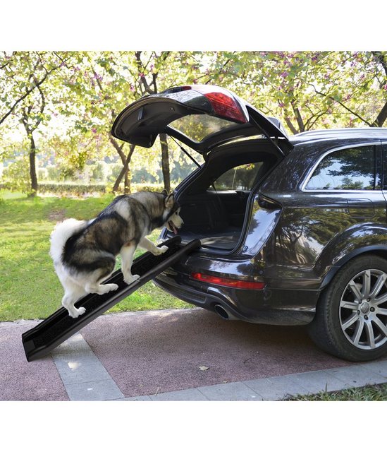 Dehner Hunde-Geschirr Hunderampe Bridge, 160 x 40 cm, Kunststoff/Gummi, Einstieg ins Auto für ältere und große Hunde, gelenkschonend, stabil