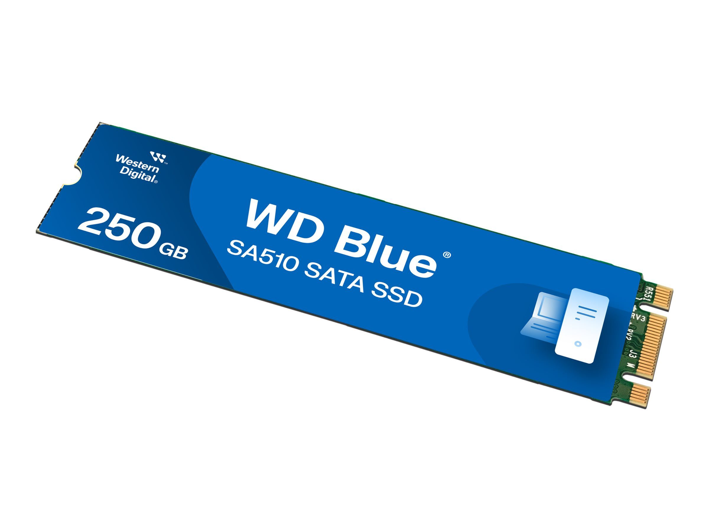 WD SSD-Festplatte