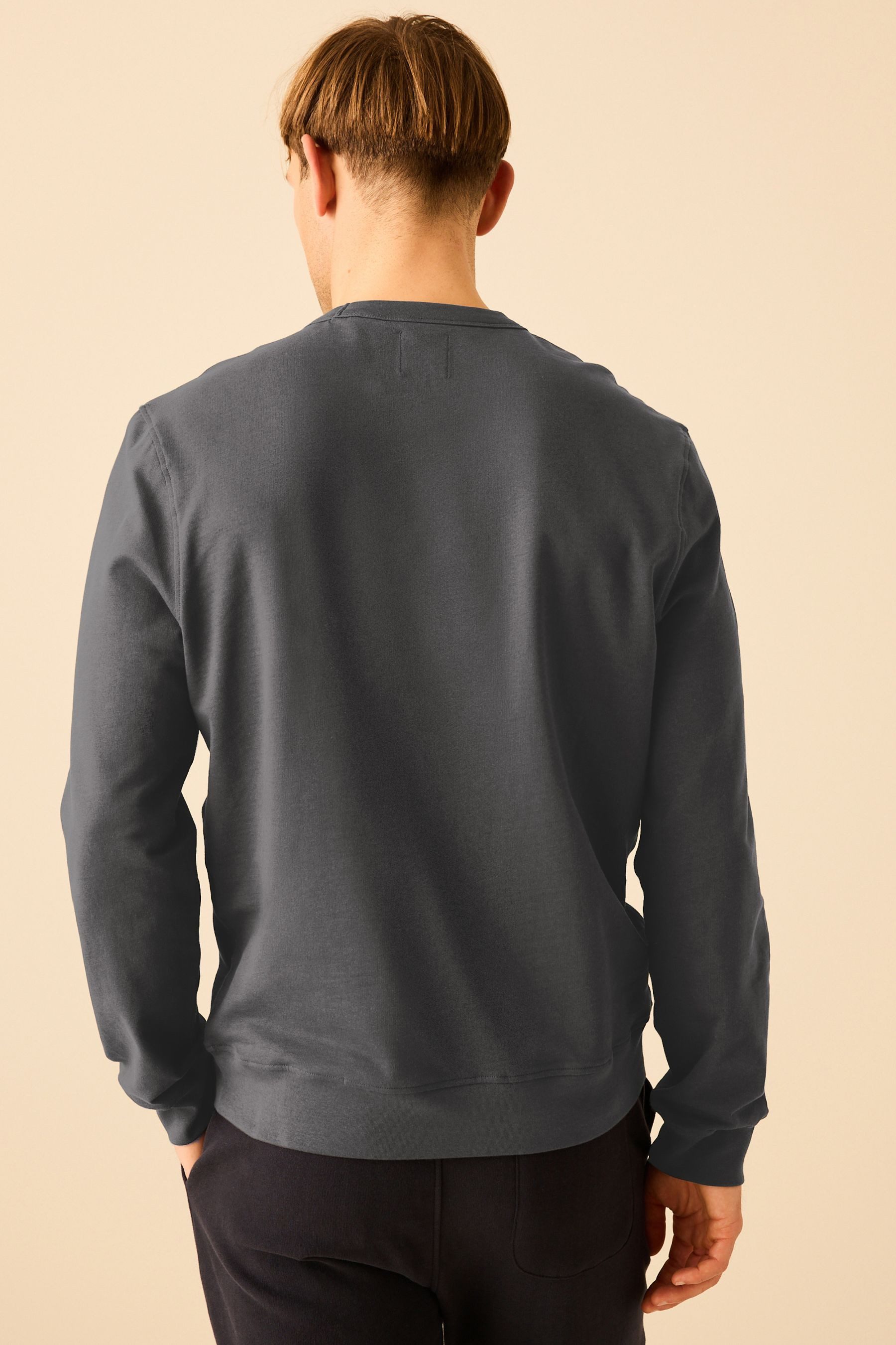 Next Sweatshirt Leichtes Sweatshirt mit Rundhalsausschnitt günstig online kaufen