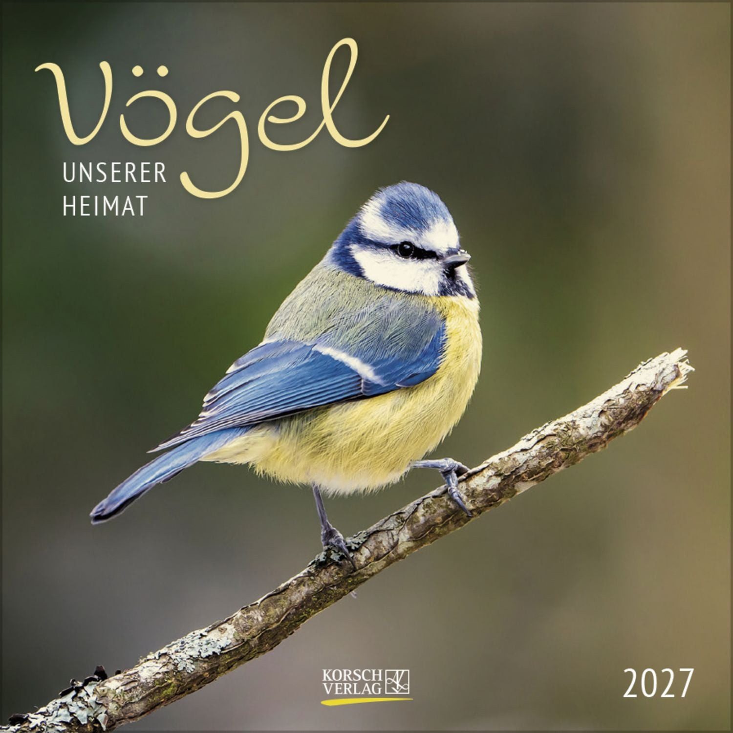 Korsch Verlag Tierkalender Vögel 2027