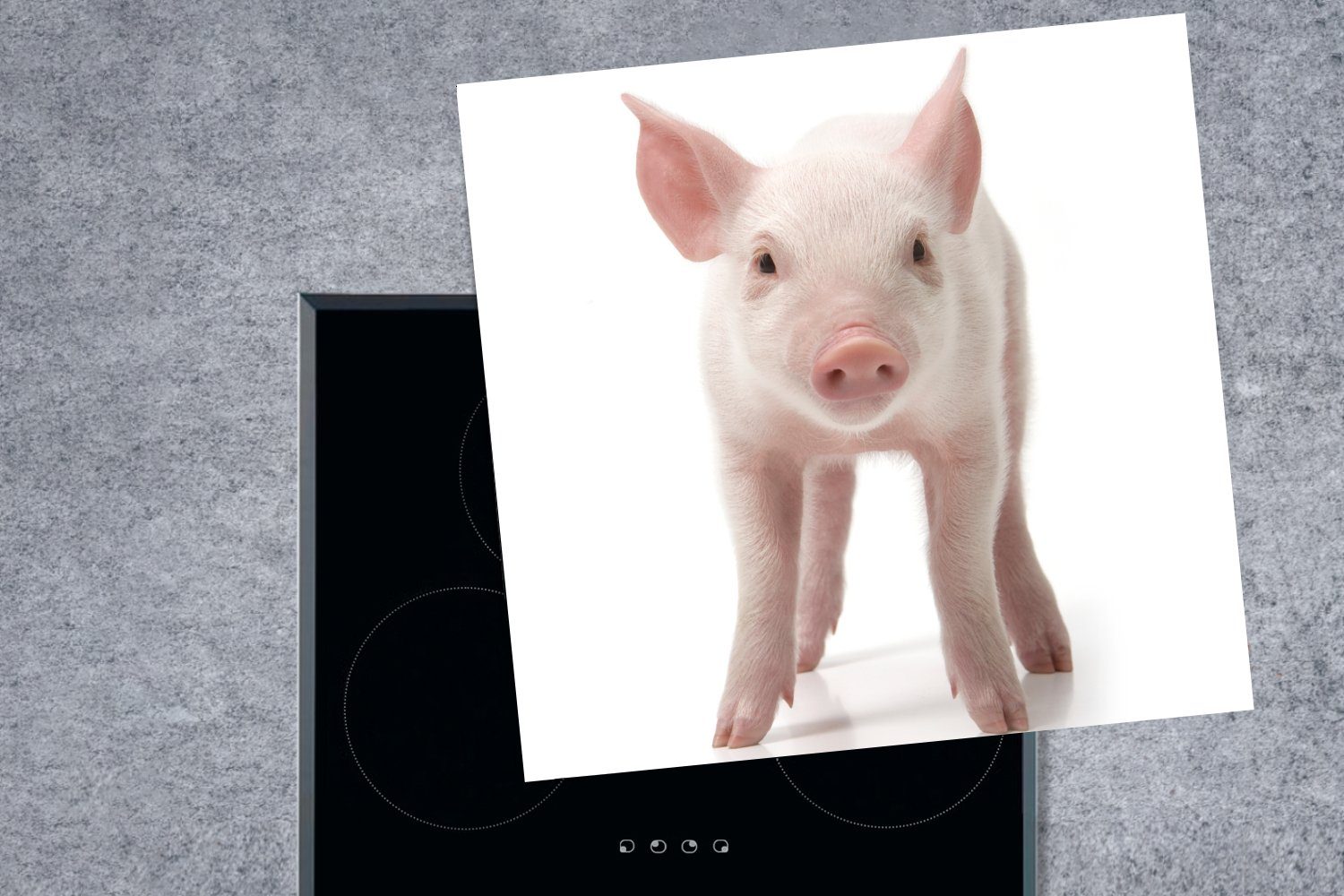 küche Herdblende-/Abdeckplatte Schwein cm, Ceranfeldabdeckung, - Arbeitsplatte (1 Weiß, tlg), MuchoWow für Vinyl, 78x78 Tiere -