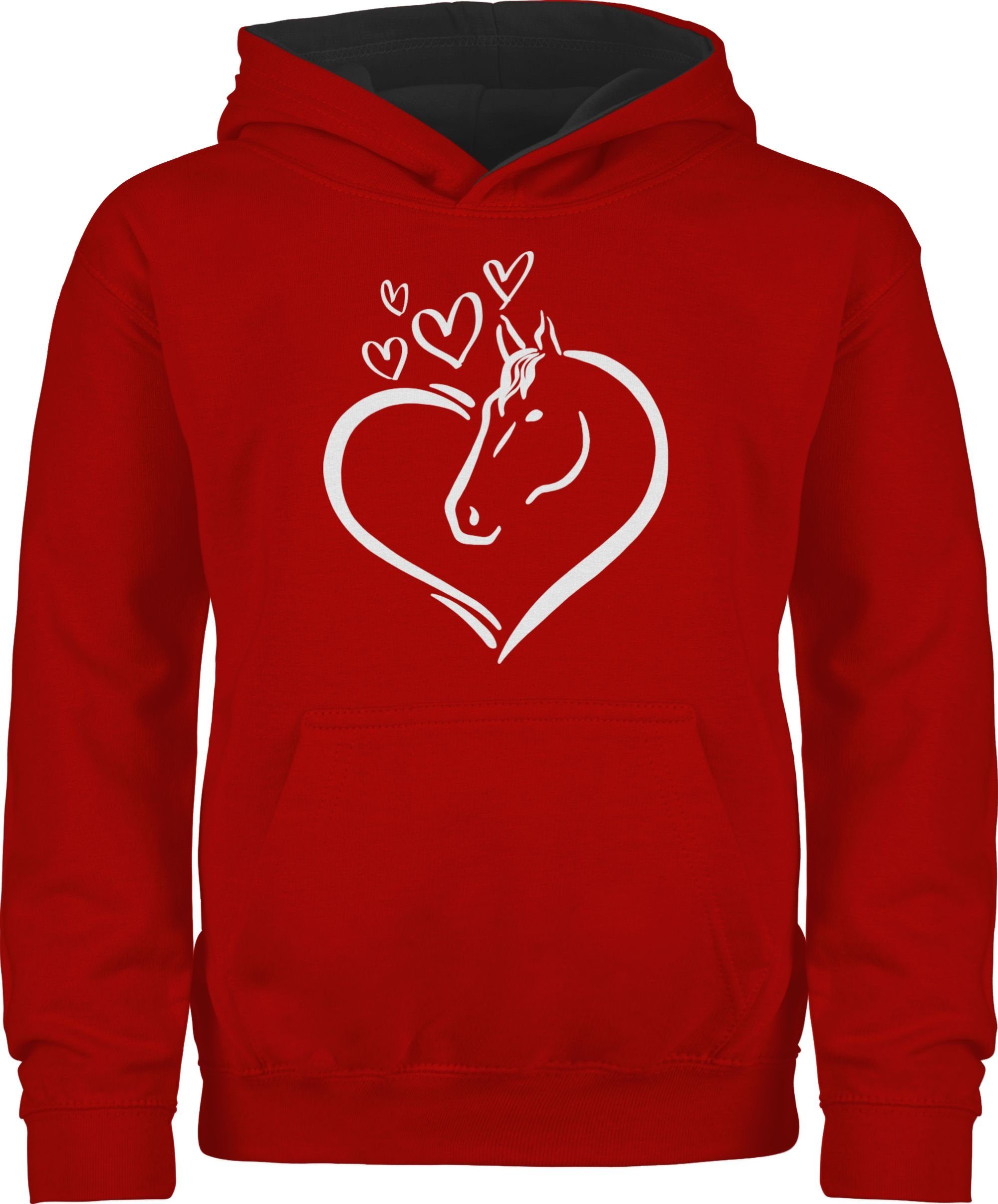 Hoodie Pferdeportrait