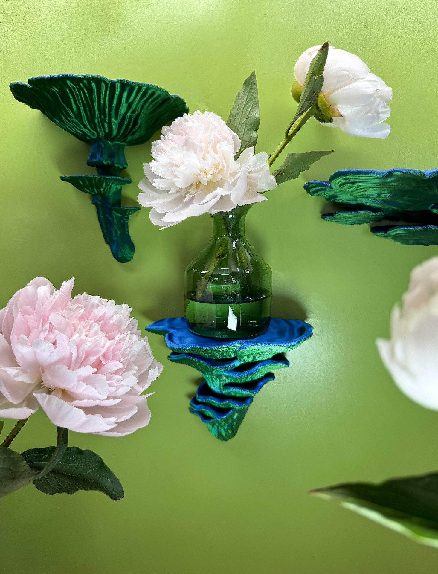 Roomberry Deko-Wandregal Pilz Wandregal Set + günstig online kaufen