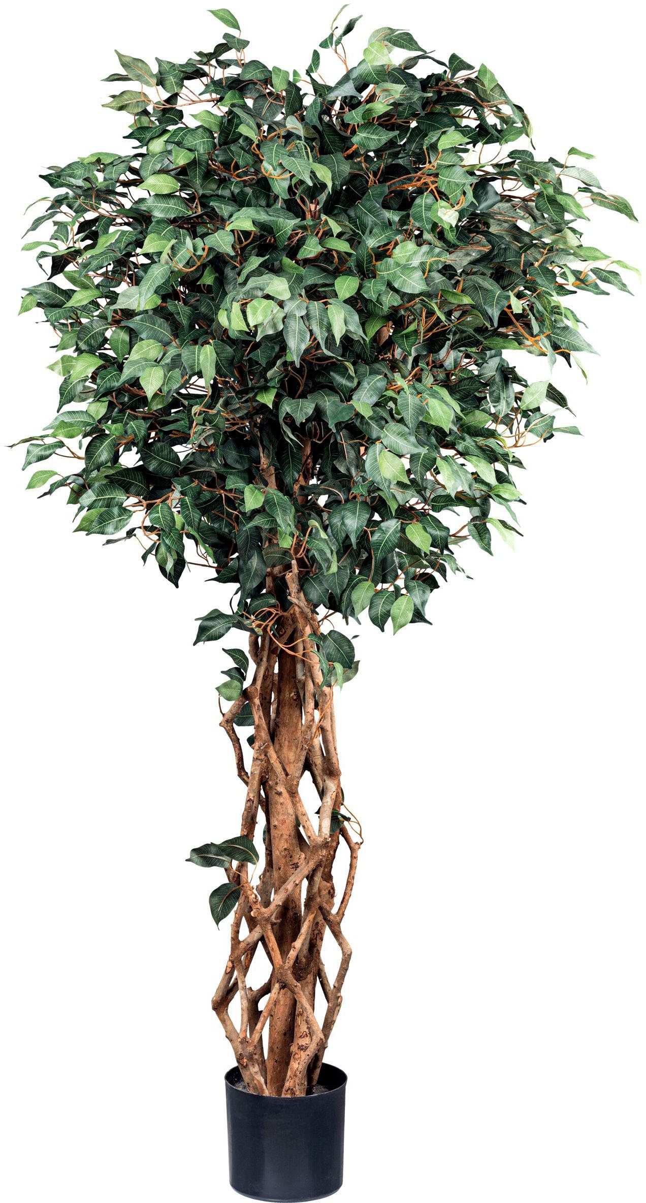 Kunstbaum Bambus Ficus Benjamini, Creativ green, Höhe 180 cm, mit