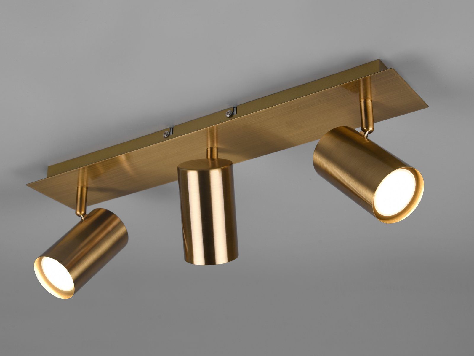 TRIO Leuchten LED Deckenstrahler, Dimmfunktion, LED günstig online kaufen