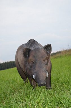 by Beier Germany Zielscheibe IBB 3D Tier großer & mächtiger Keiler
