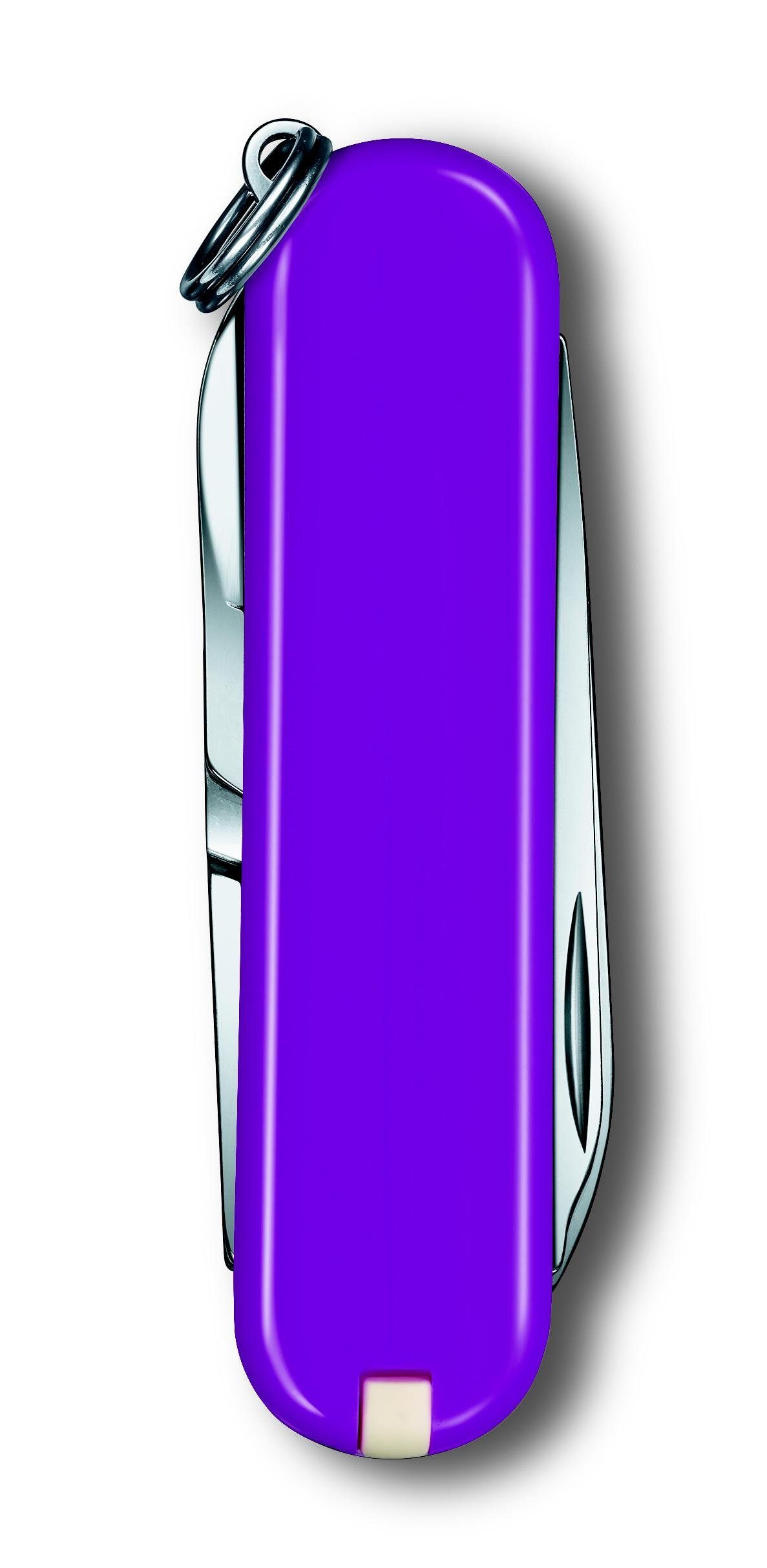 Victorinox Taschenmesser 58 Grape mm, Classic Tasty SD