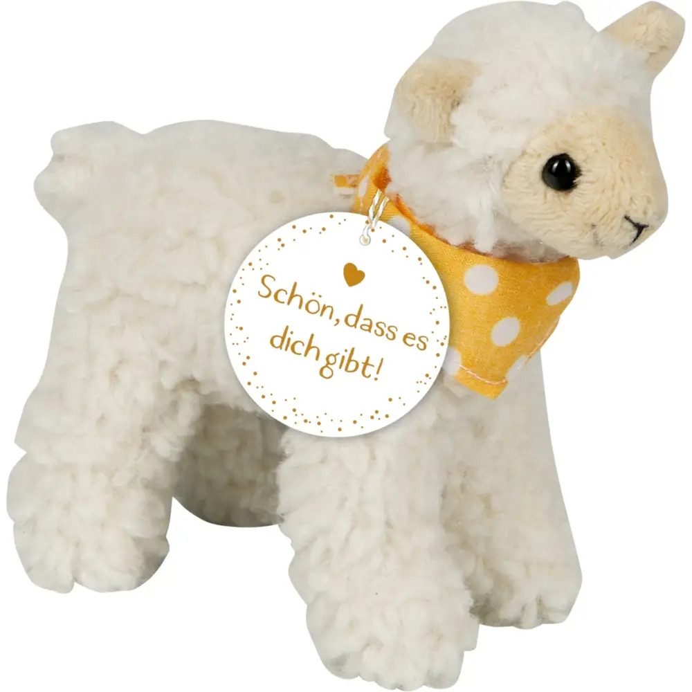 COPPENRATH DIE SPIEGELBURG Zeichenalbum Plüschlamm – Schön, dass es dich gibt!