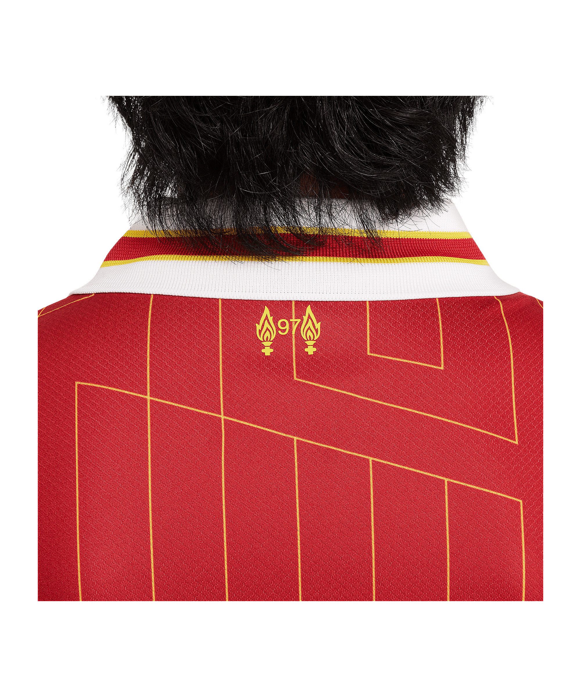 Nike Fußballtrikot Nike Performance Premier League