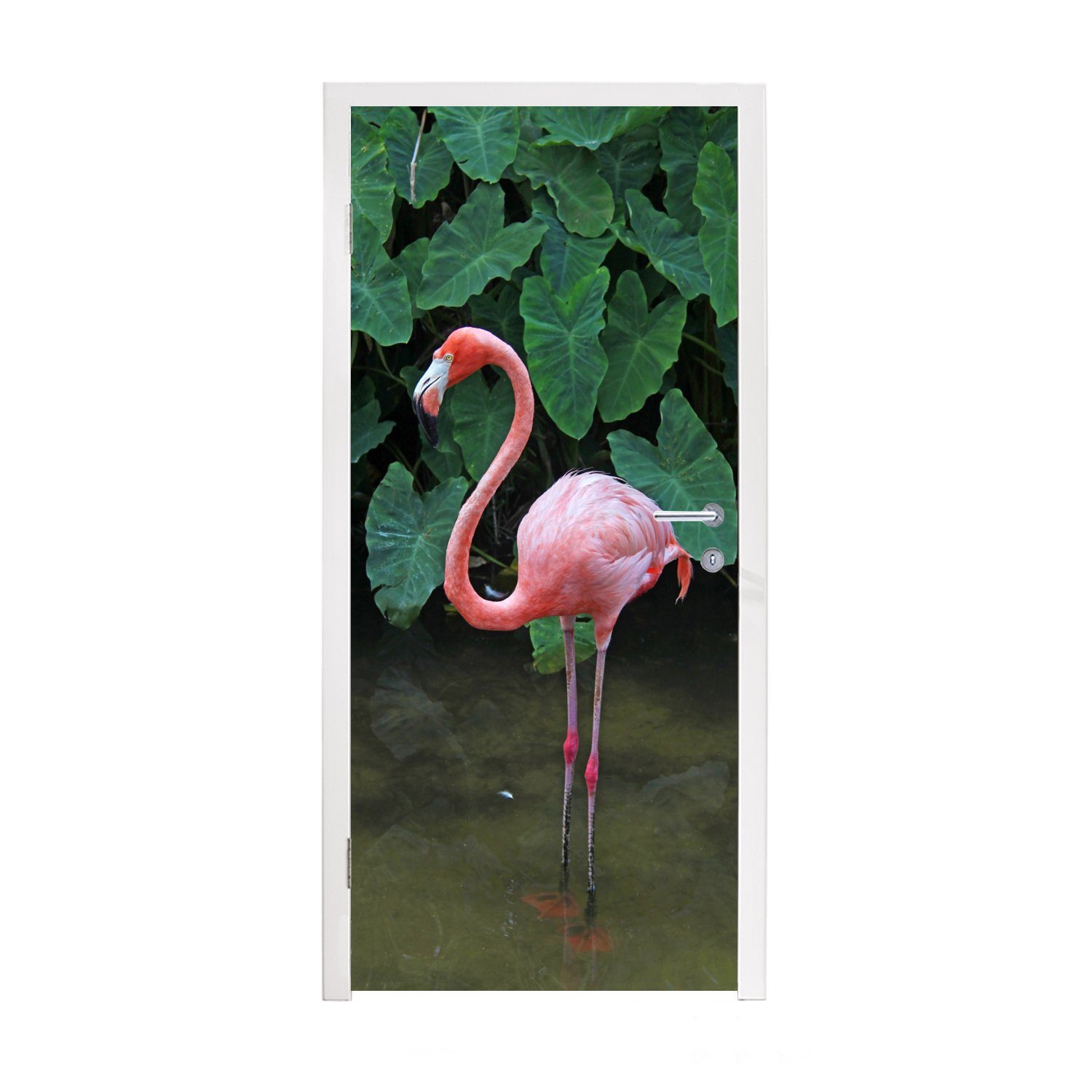 St), cm Tür, für Matt, Türtapete im Türaufkleber, seichten steht bedruckt, Fototapete 75x205 Flamingo MuchoWow (1 Wasser, Ein