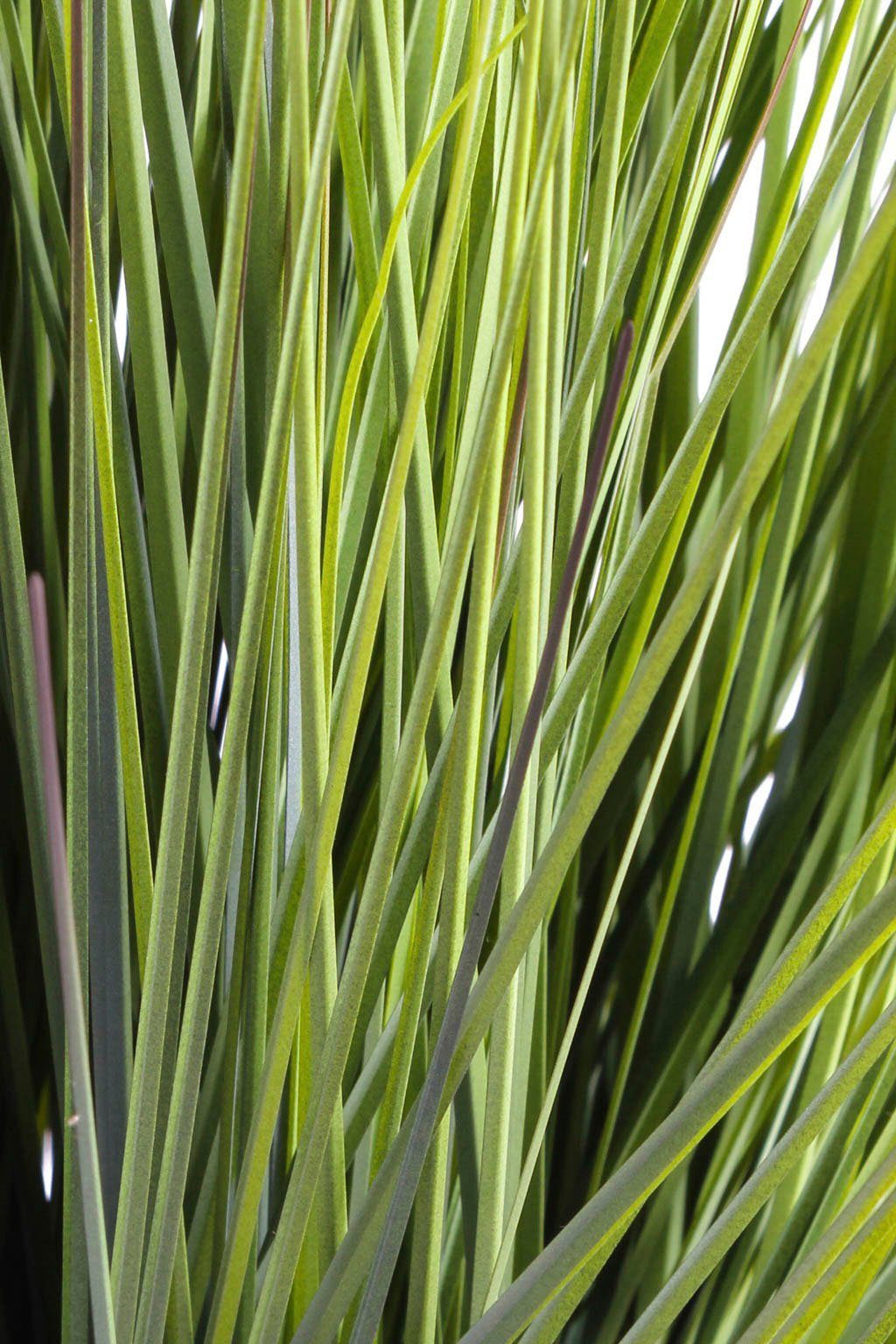 Festuca Gras, Botanic-Haus, King Höhe cm 74 Grasarrangement Kunstgras