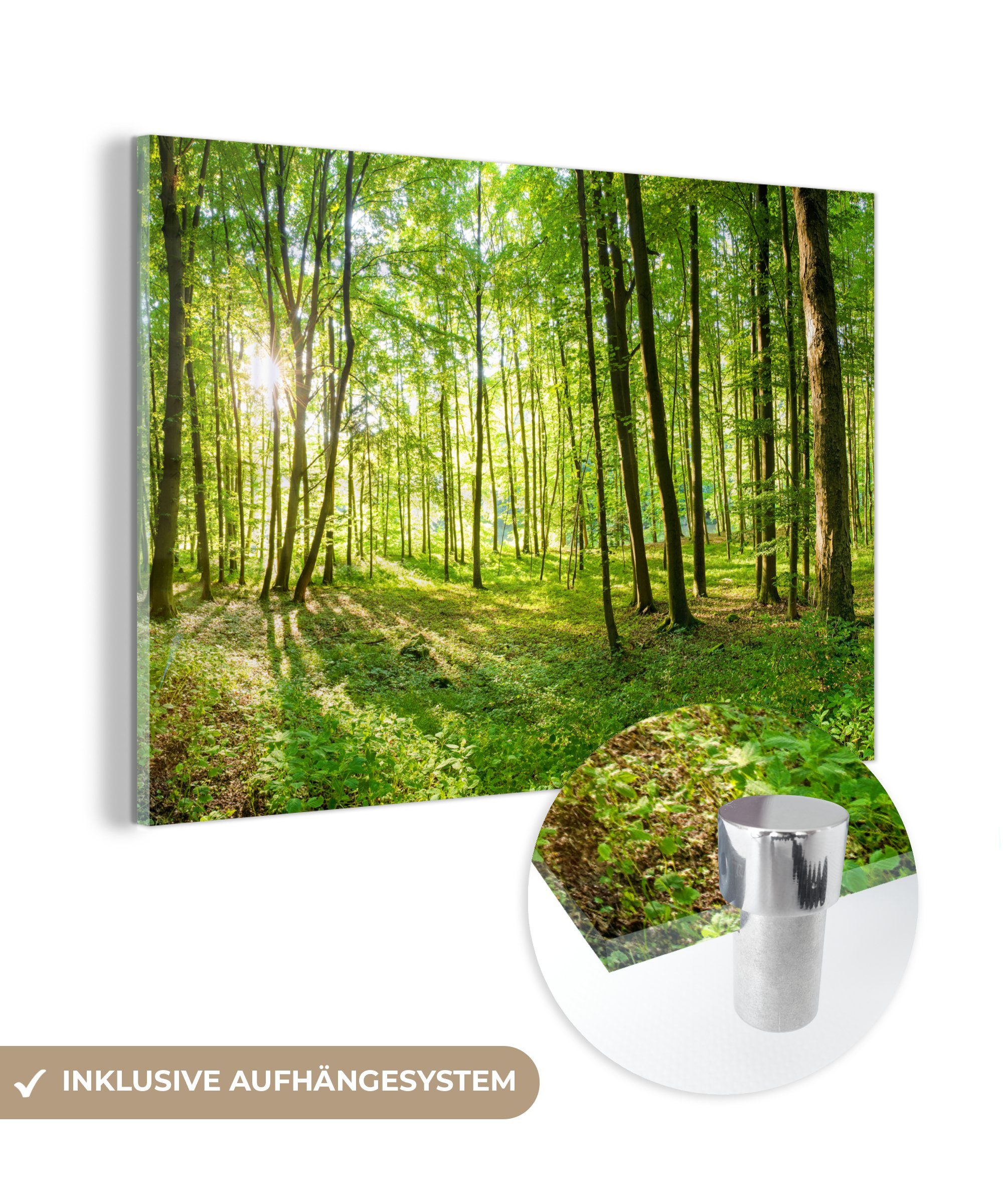 MuchoWow Acrylglasbild Natur - Bäume - Wald - Grün - Sonnenlicht, Inkl. Aufhängung, Glasbilder Wohnzimmer, Schlafzimmer, Flur & Esszimmer, 30x20 cm