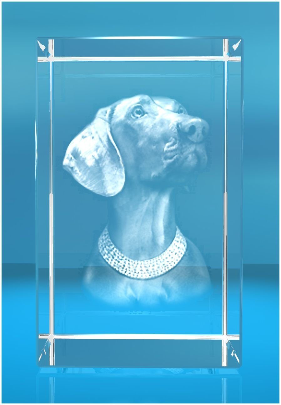 VIP-LASER Dekofigur 3D Glasquader Motiv: Hund Weimaraner, Hochwertige Geschenkbox, Made in Germany, Familienbetrieb