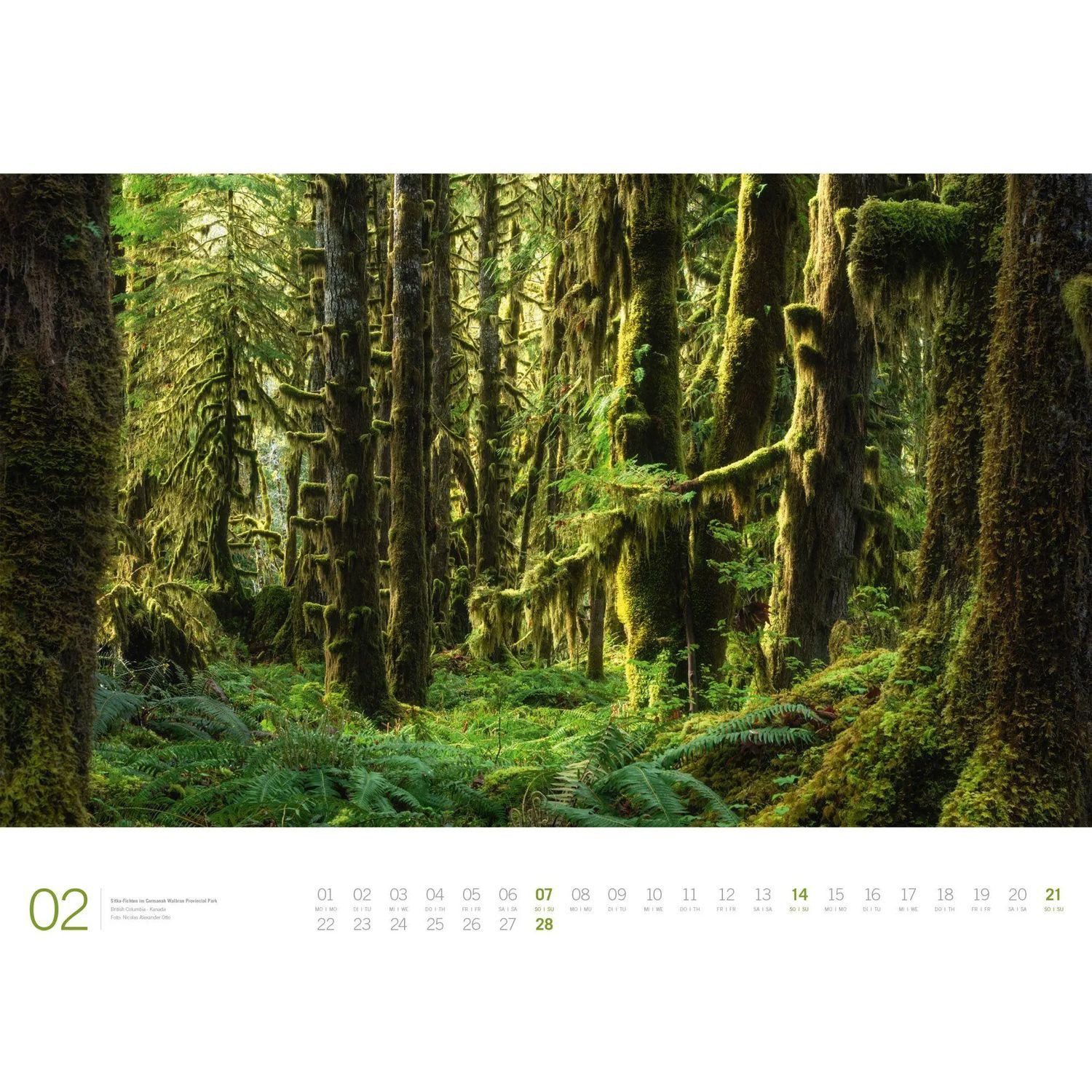 Ackermann Wandkalender Wald Gallery Kalender 2027