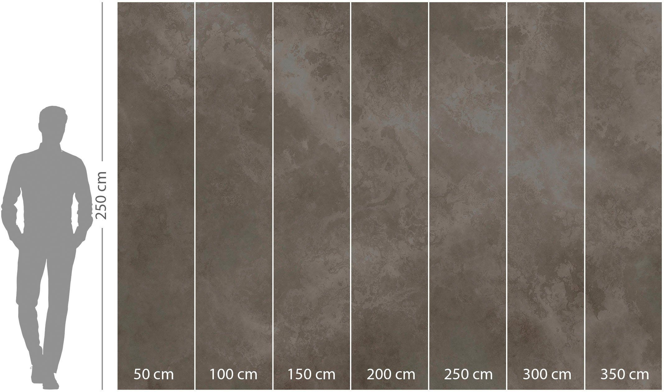 Höhe) (Breite (1 Marmorelia, x 350x250 St), Komar cm Vliestapete