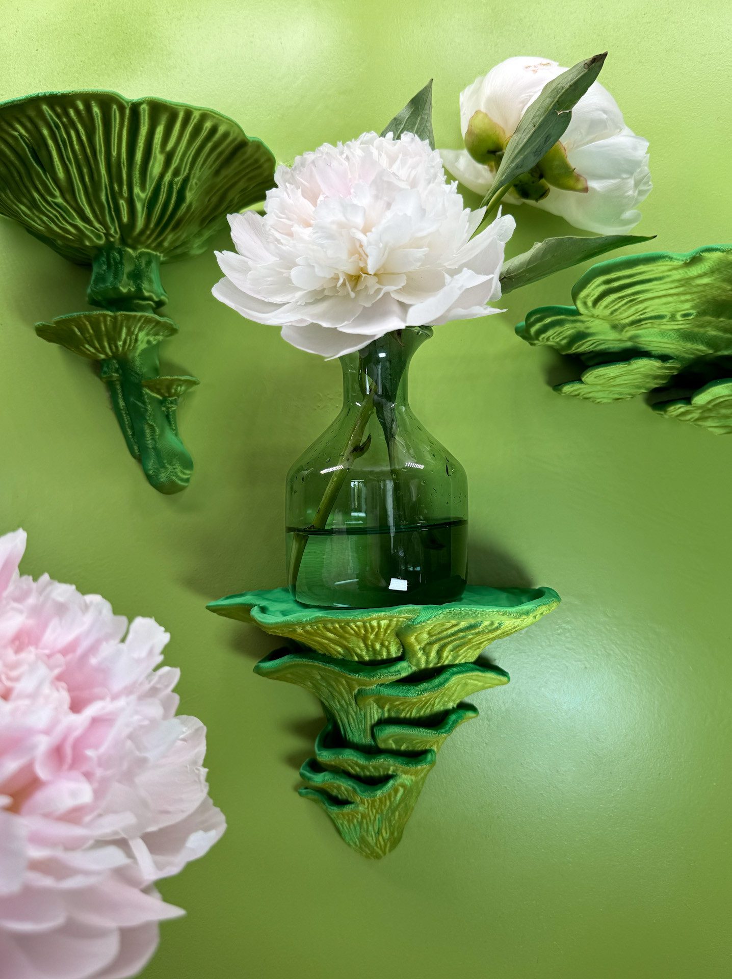 Roomberry Deko-Wandregal Pilz Wandregal Set + günstig online kaufen