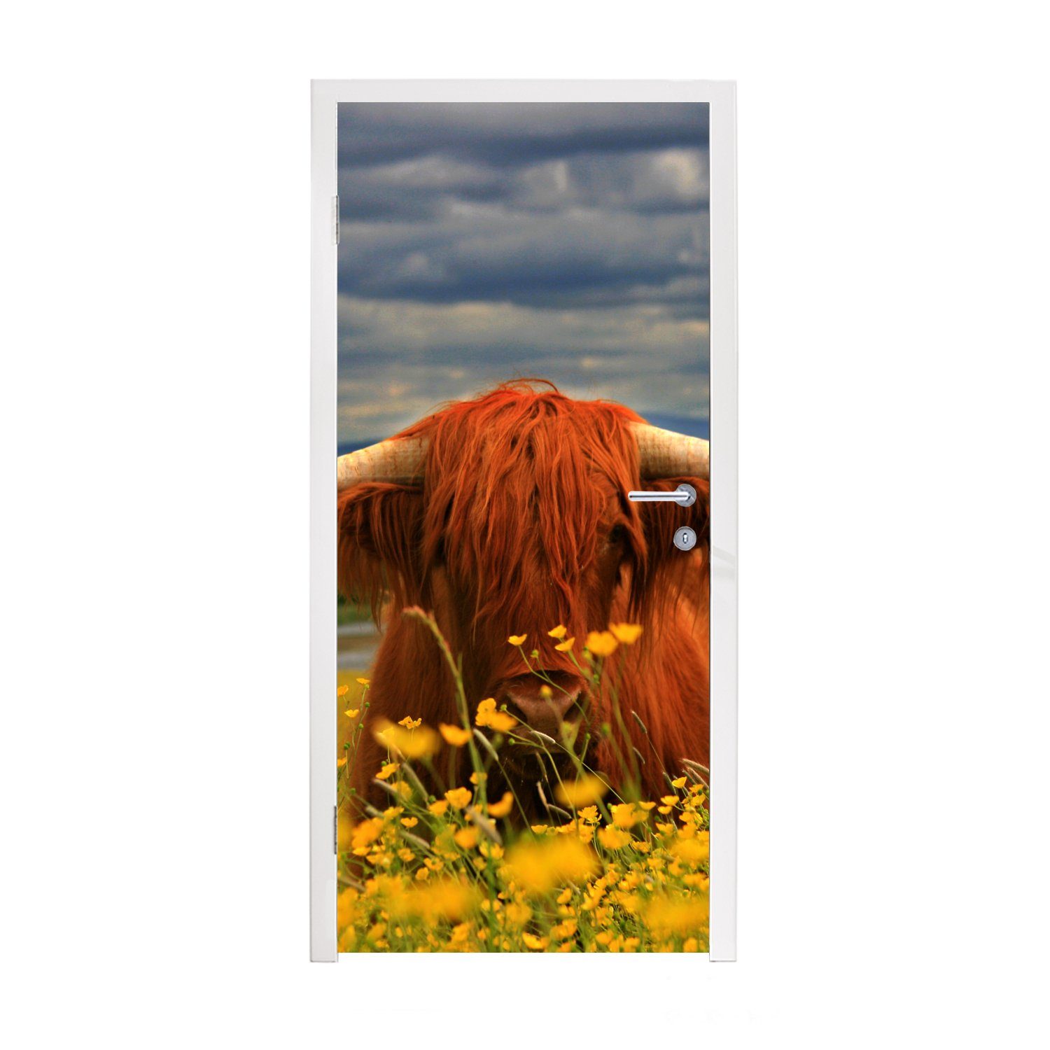 MuchoWow Türtapete Schottischer Highlander - Tiere - Blumen, Matt, bedruckt, (1 St), Fototapete für Tür, Türaufkleber, 75x205 cm