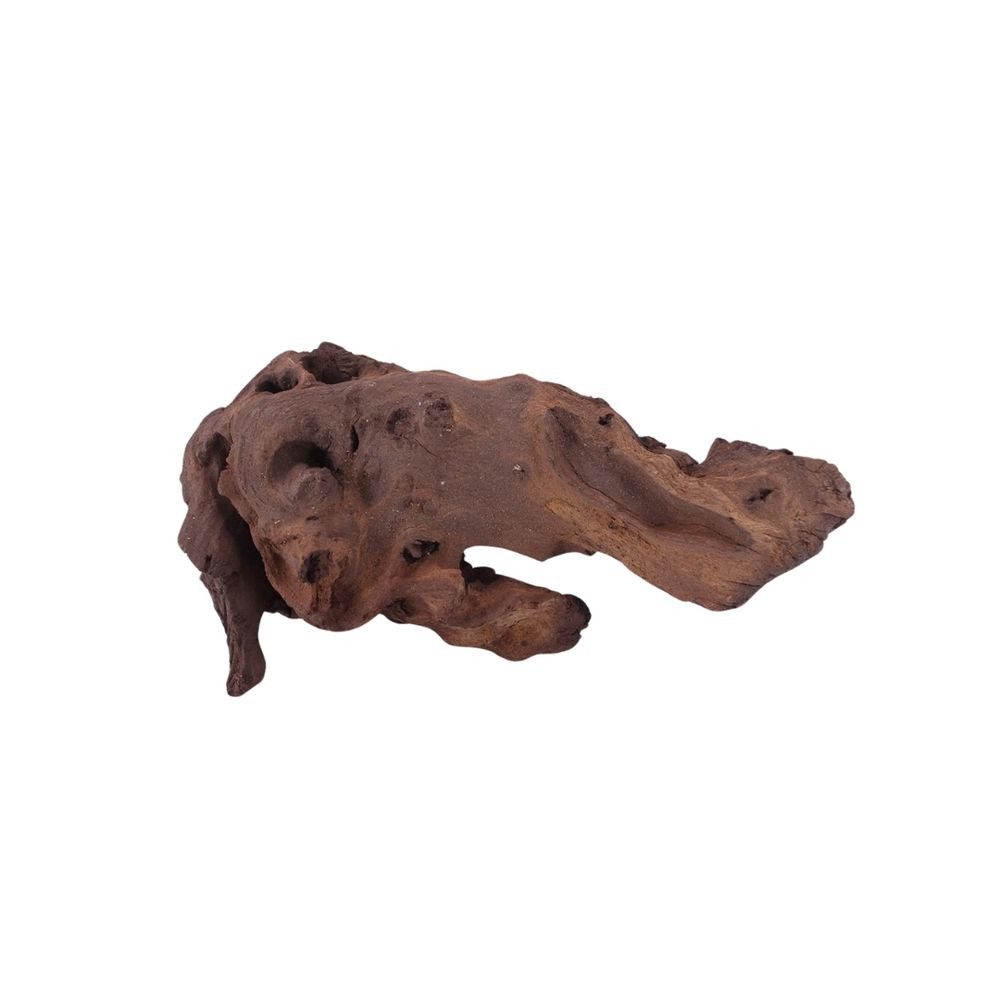 Thumbnail - Aquaone Aquarium L Mopani Wurzel Nr.1249 Holz Deko Aquascaping