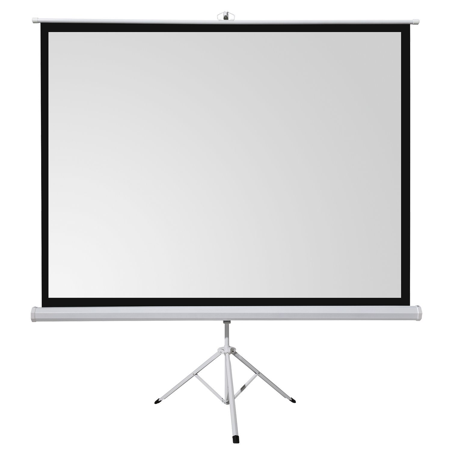 Celexon basic line Stativleinwand (200 x 200cm, 1:1, Gain 1,5)