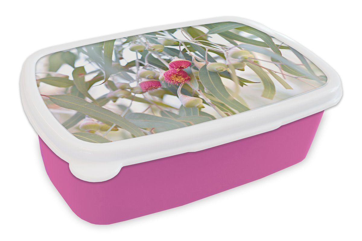 inmitten Kinder, Brotdose Erwachsene, für Snackbox, Lunchbox der Mädchen, Eukalyptusblüten Kunststoff MuchoWow Brotbox Rosa (2-tlg), Kunststoff, Blätter,