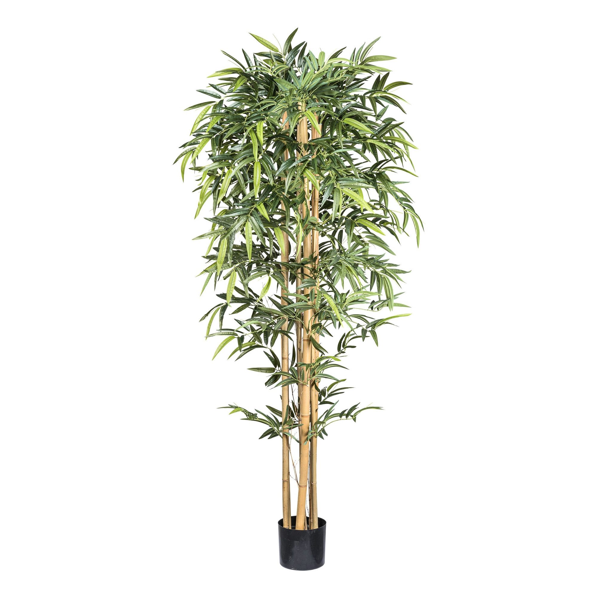 Kunstpflanze Bambus 1536 Bl. ca 210cm Naturstamm im Kunststofftopf 20,5x18,5cm