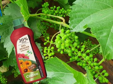 Chrysal Gemüsedünger BIO Dünger PREMIUM universal 1200 ml, 1-St., 1200 ml Flasche mit Dosierkappe, Universaldünger