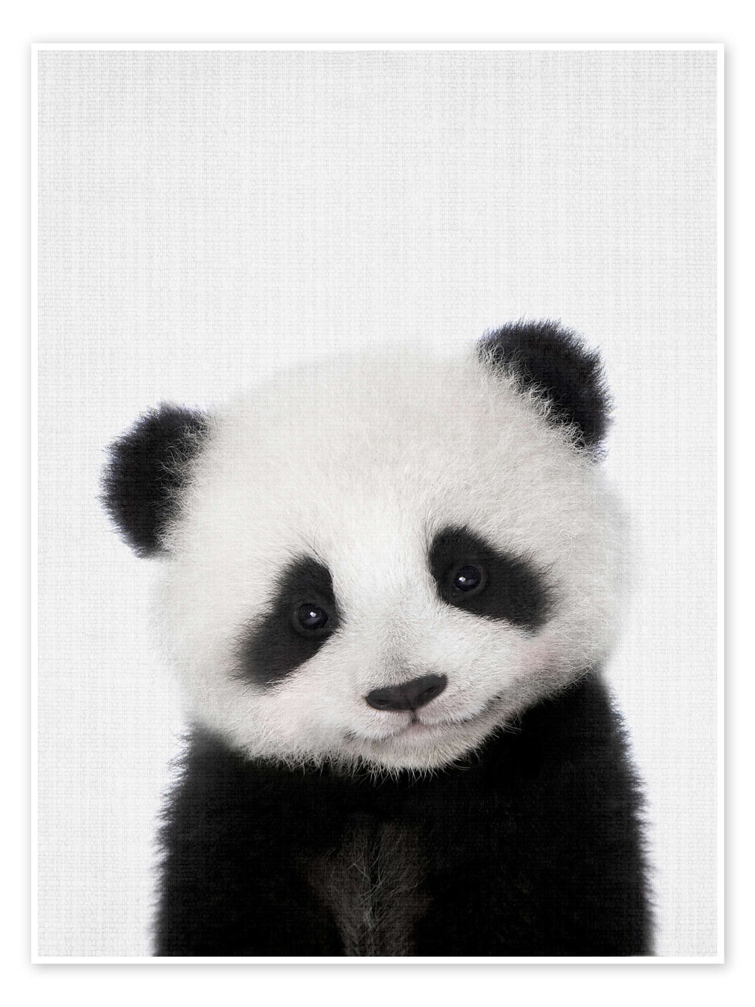 Posterlounge Wandbild Baby Panda, Lola Peacock, erhältlich als Poster, Leinwandbild, Wandsticker oder Acrylglasbild