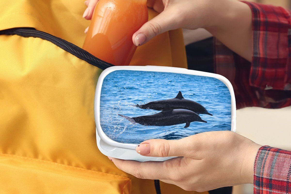 MuchoWow Lunchbox Delfin und für Brotdose, Mädchen Tier, Kinder Brotbox Jungs weiß Kunststoff, - Erwachsene, für und Meer - (2-tlg)