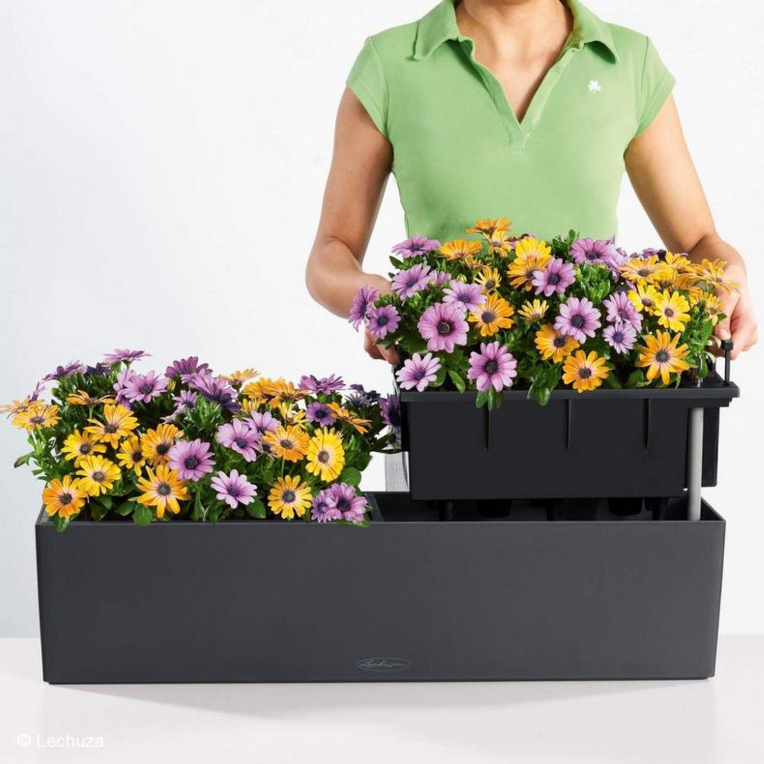 Lechuza® Balkonkasten Balconera Color 80 Balkonkasten günstig online kaufen