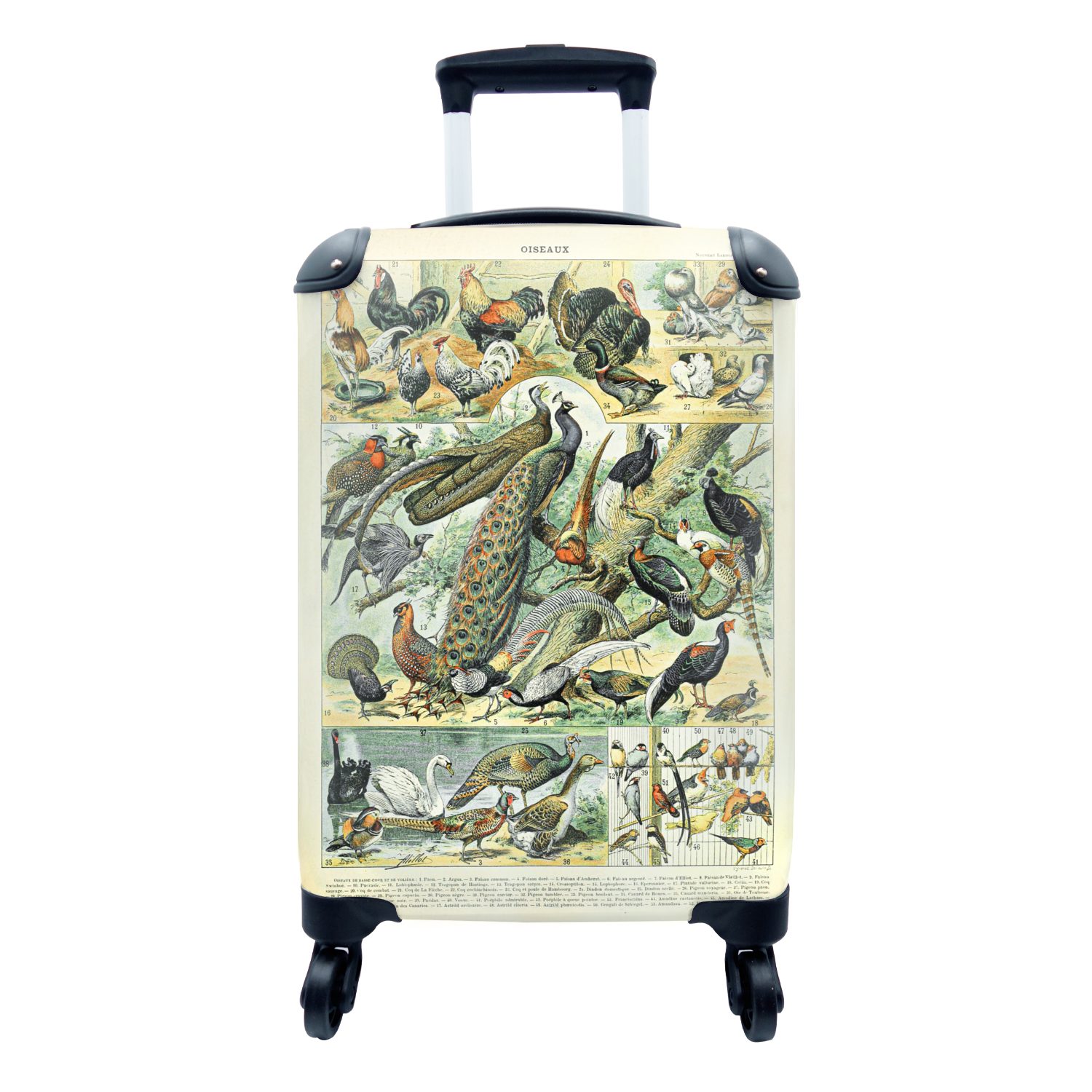 - - Jahrgang, Reisetasche Tiere Trolley, für mit 4 MuchoWow Ferien, Reisekoffer Handgepäck Handgepäckkoffer rollen, Vögel Rollen,