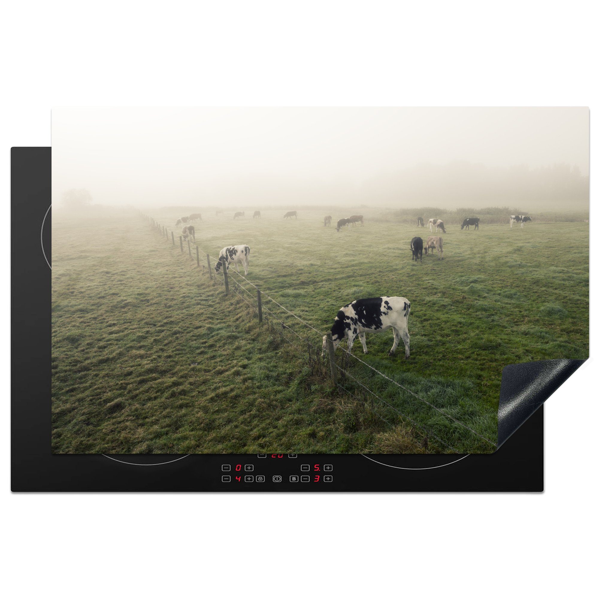 MuchoWow Herdblende-/Abdeckplatte Kühe - Nebel - Friesland, Vinyl, (1 tlg), 81x52 cm, Induktionskochfeld Schutz für die küche, Ceranfeldabdeckung