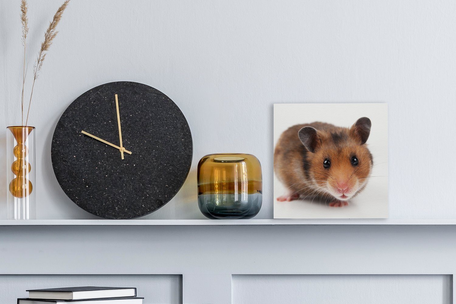 Wohnzimmer Hamster, St), OneMillionCanvasses® (1 Schlafzimmer für Leinwand Bilder Leinwandbild Neugieriger