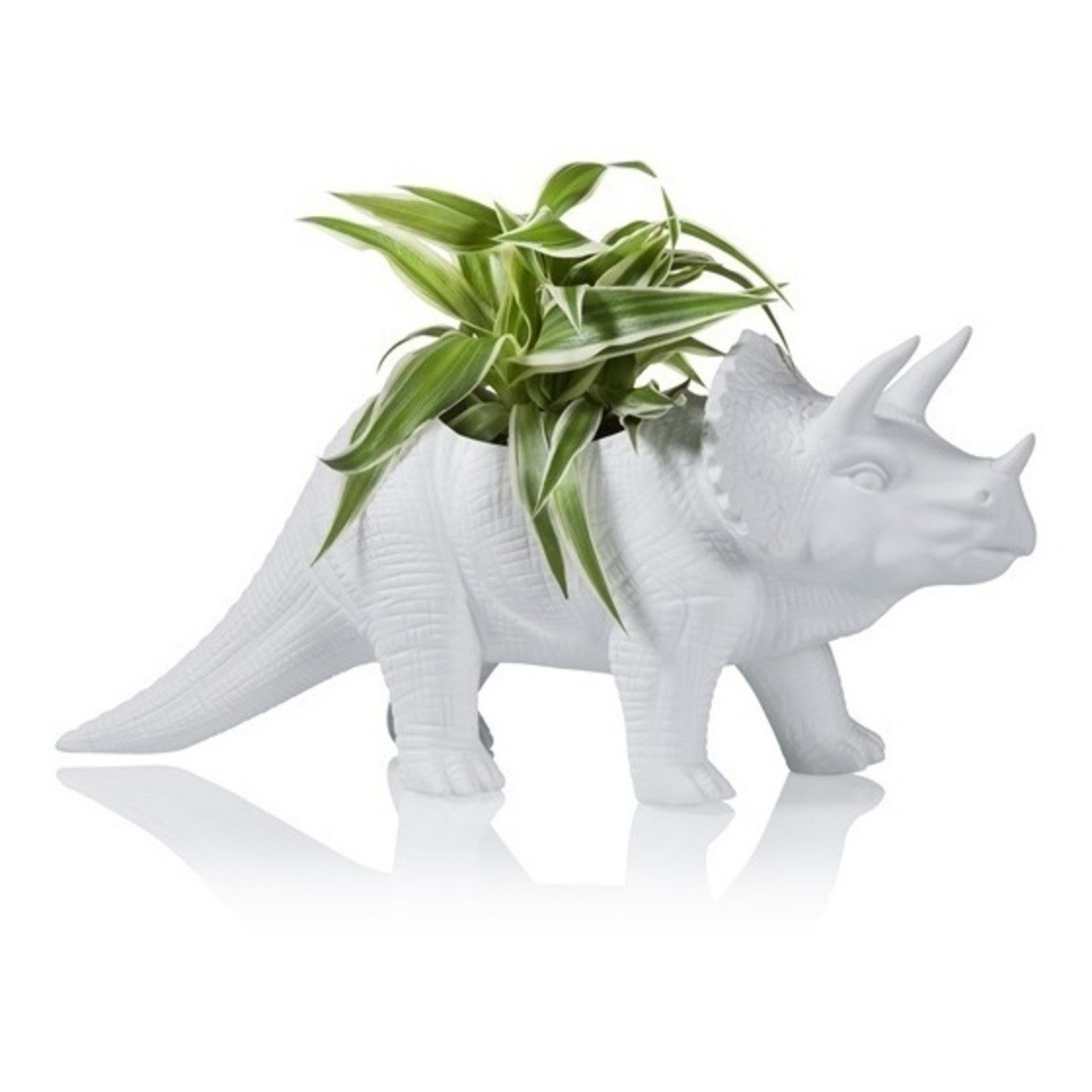 bitten Blumentopf Tricerapot Dino Blumentopf aus Porzellan