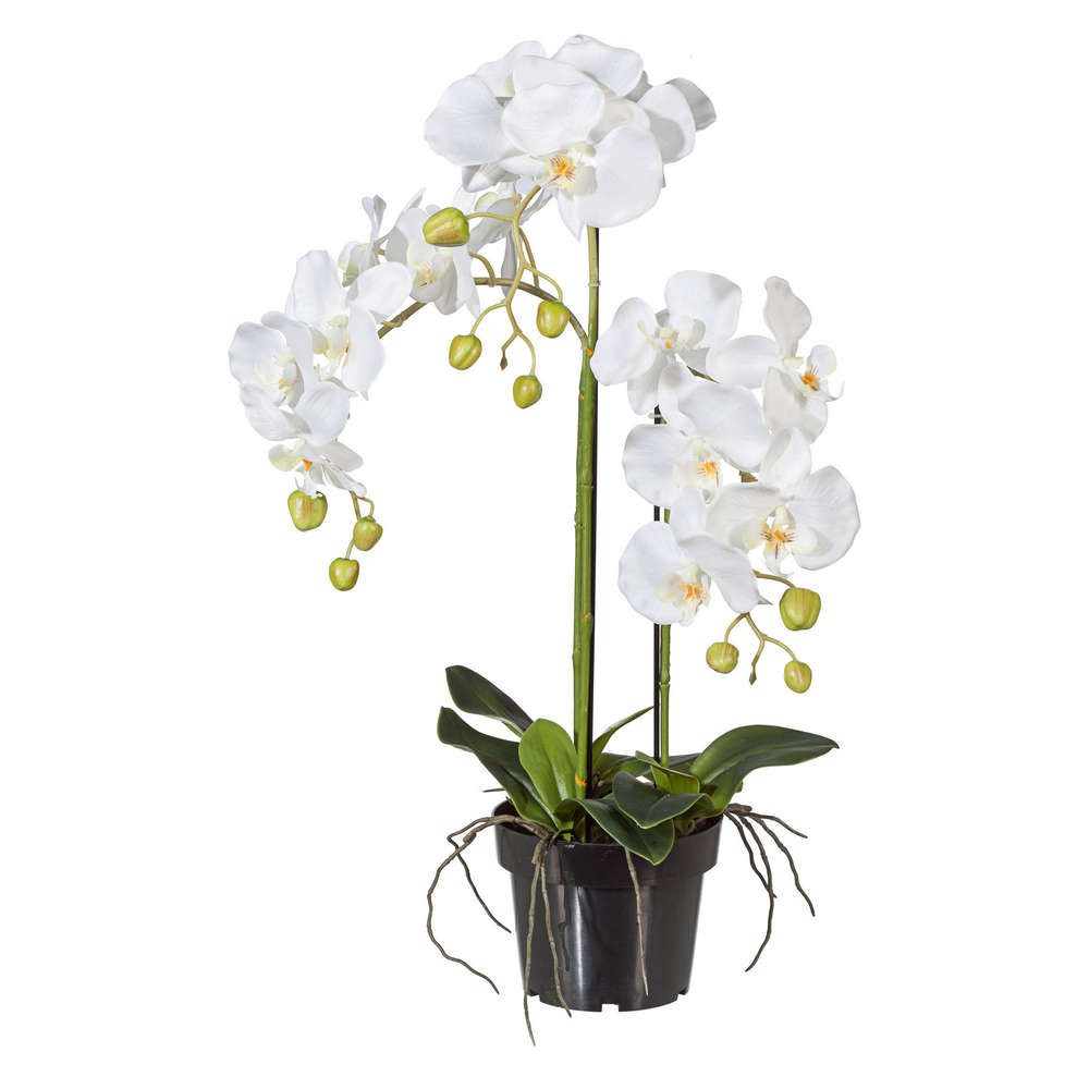 Kunstorchidee Kunstblume PHALENOPSIS Orchidee ca 62cm WEISS. im Kunststofftopf 15cm., Gasper, Höhe 62.00 cm
